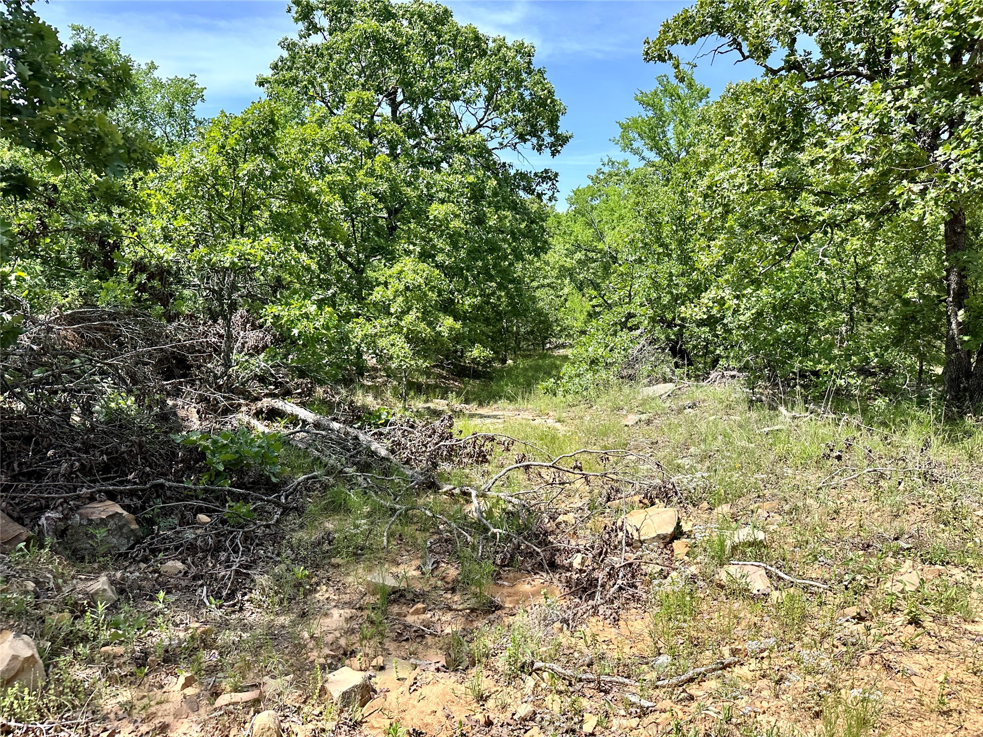 623 Dozer Mountain Road Property Photo 39