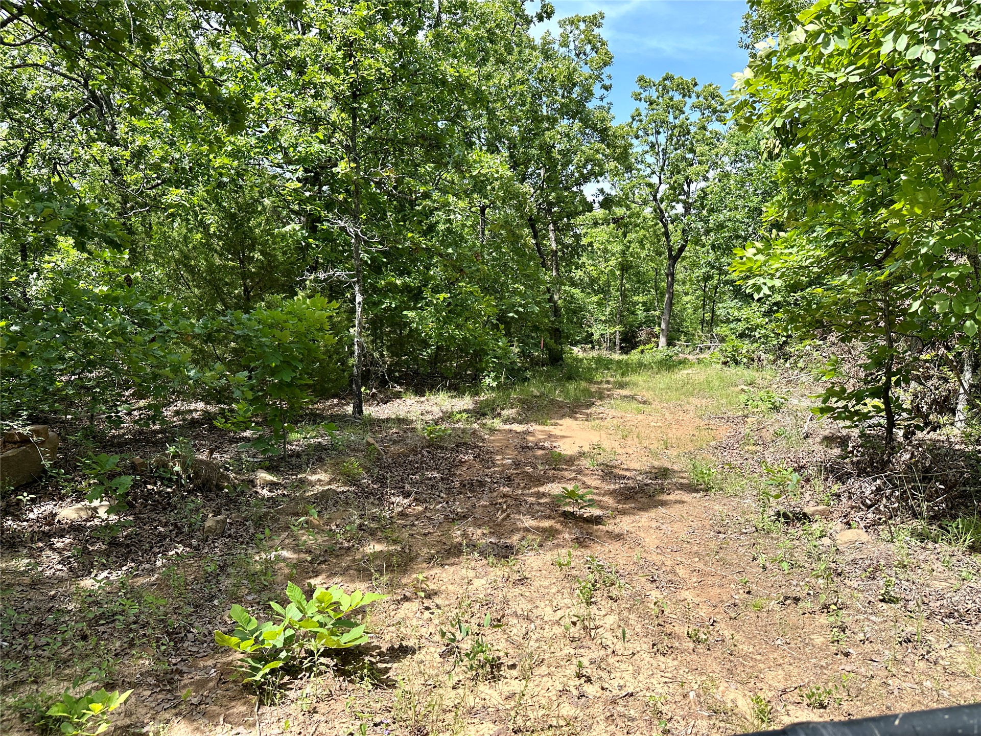 623 Dozer Mountain Road Property Photo 40