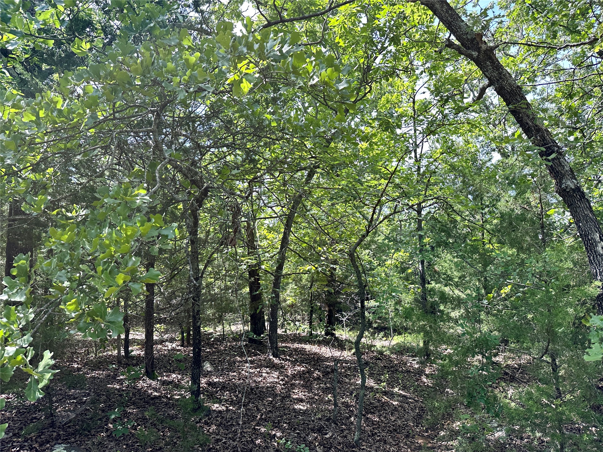 623 Dozer Mountain Road Property Photo 41