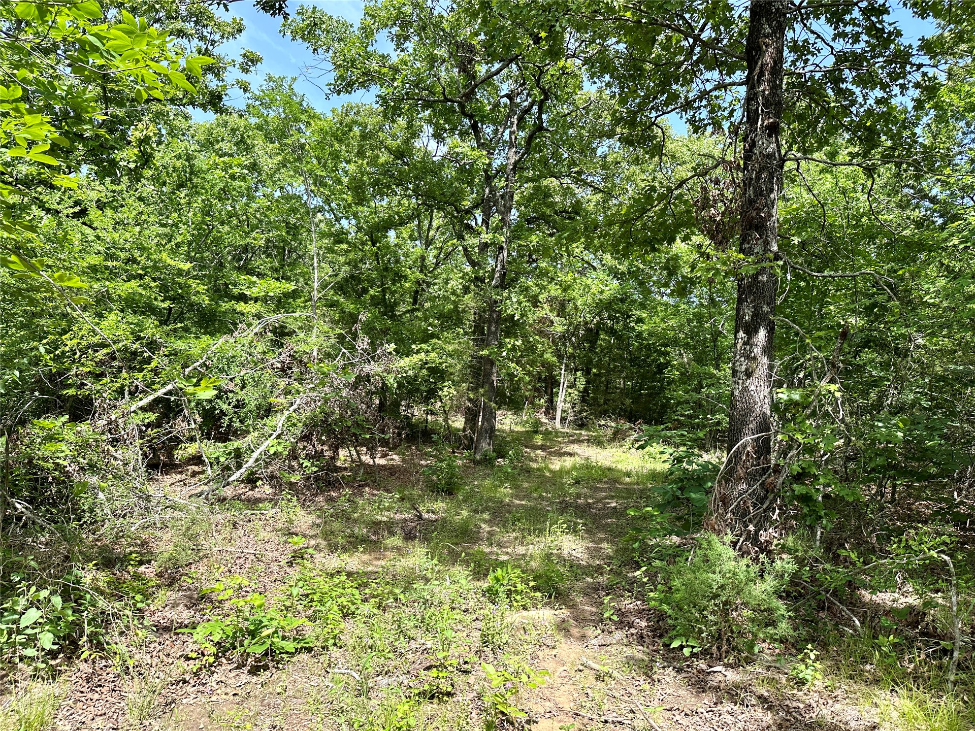 623 Dozer Mountain Road Property Photo 42