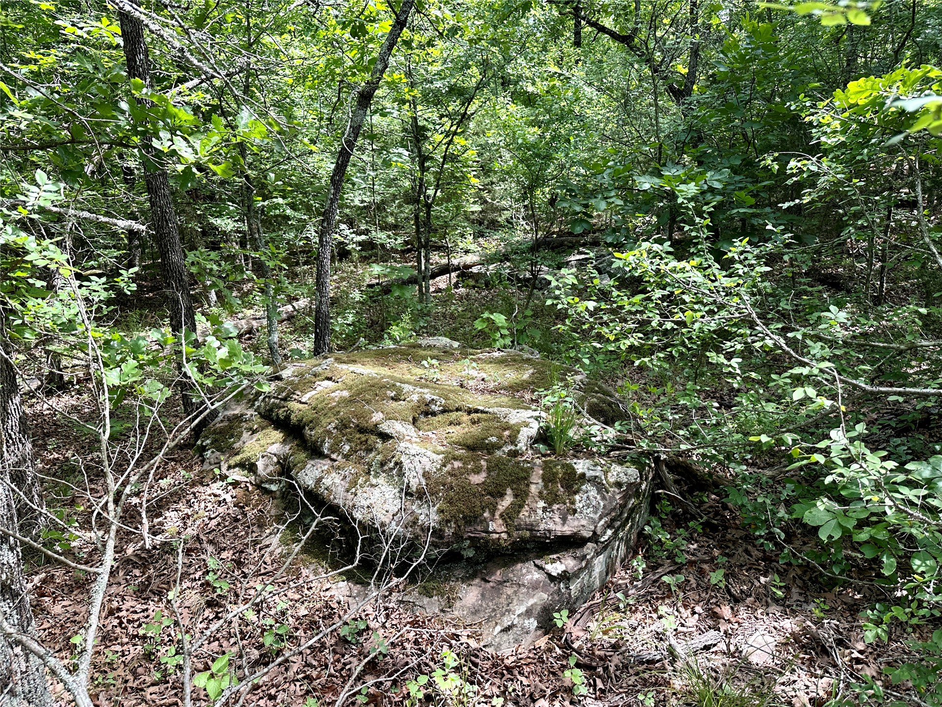 623 Dozer Mountain Road Property Photo 43