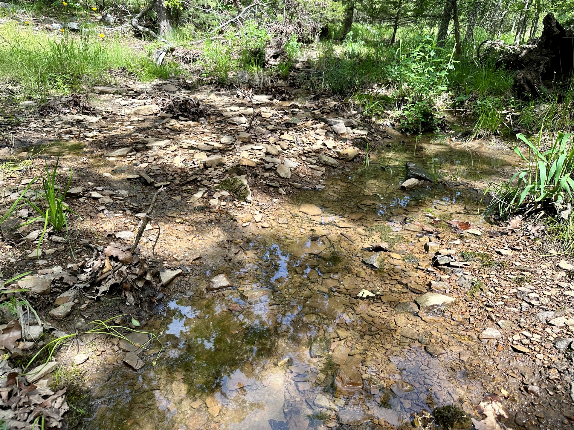 623 Dozer Mountain Road Property Photo 44