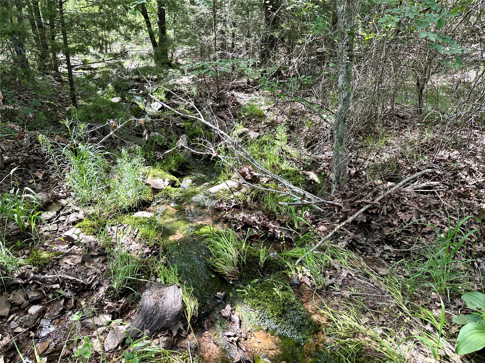 623 Dozer Mountain Road Property Photo 45