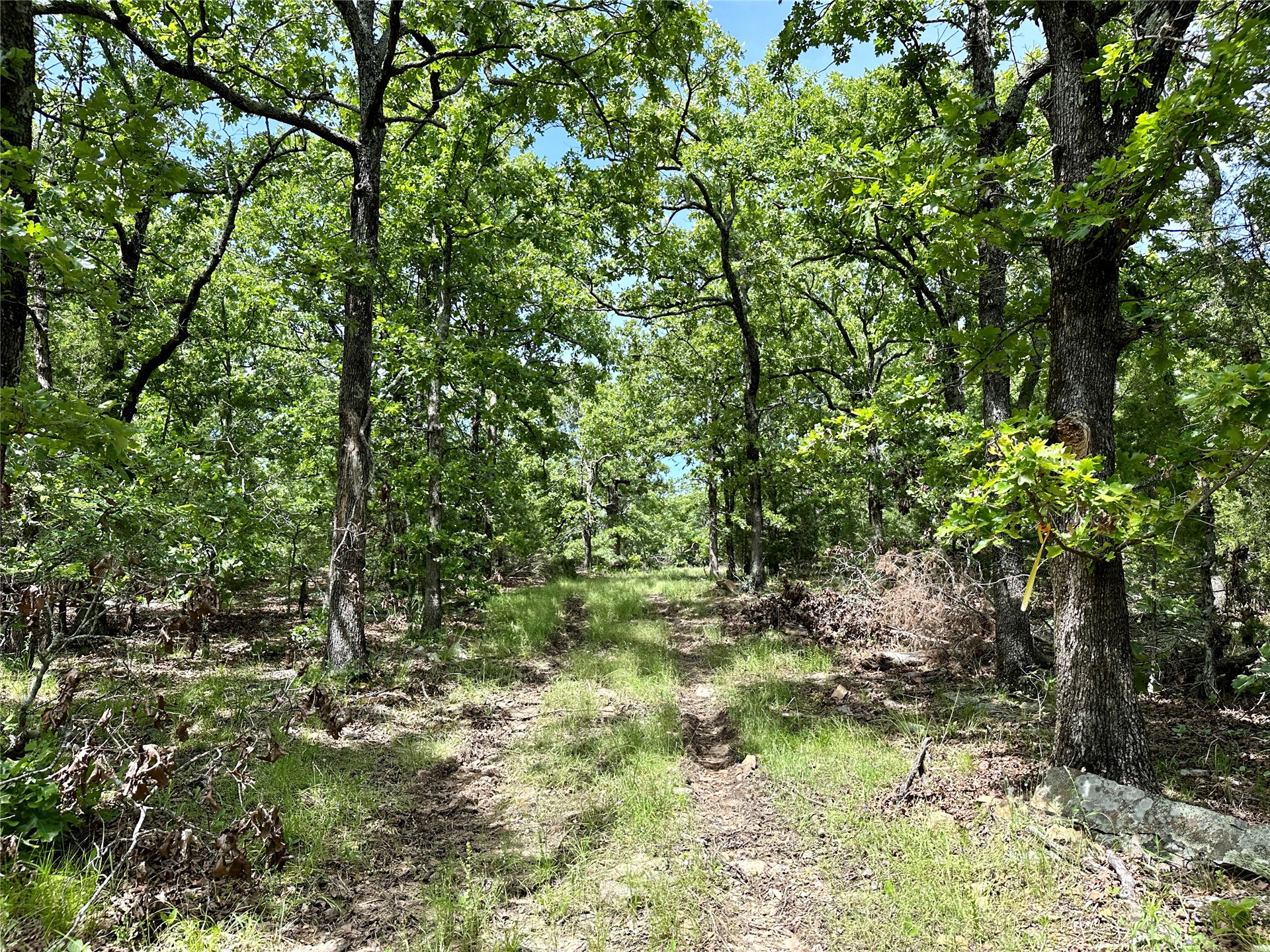 623 Dozer Mountain Road Property Photo 47