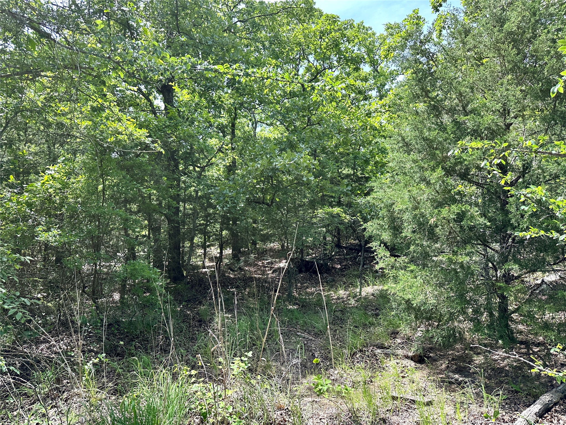 623 Dozer Mountain Road Property Photo 48