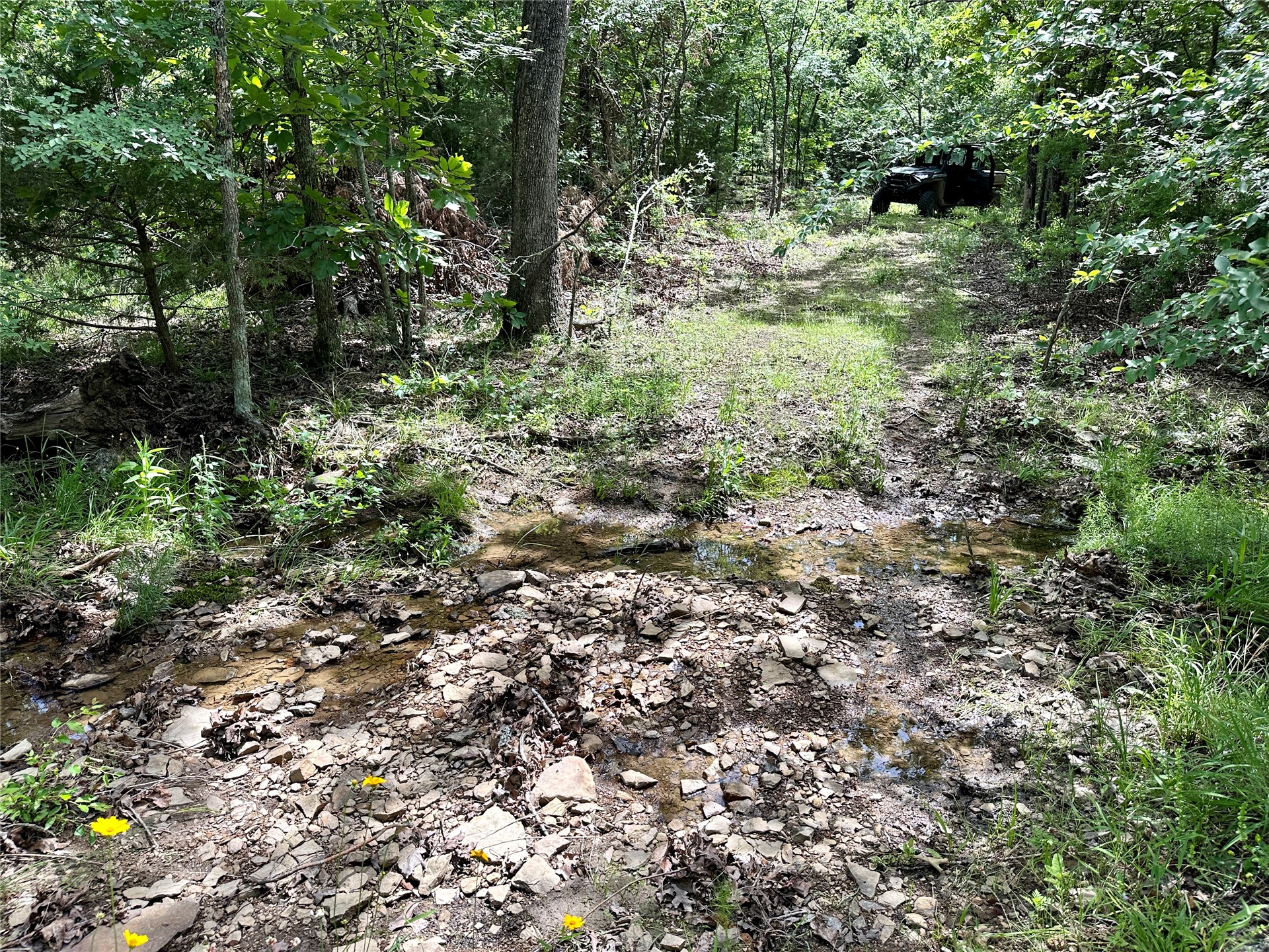 623 Dozer Mountain Road Property Photo 49