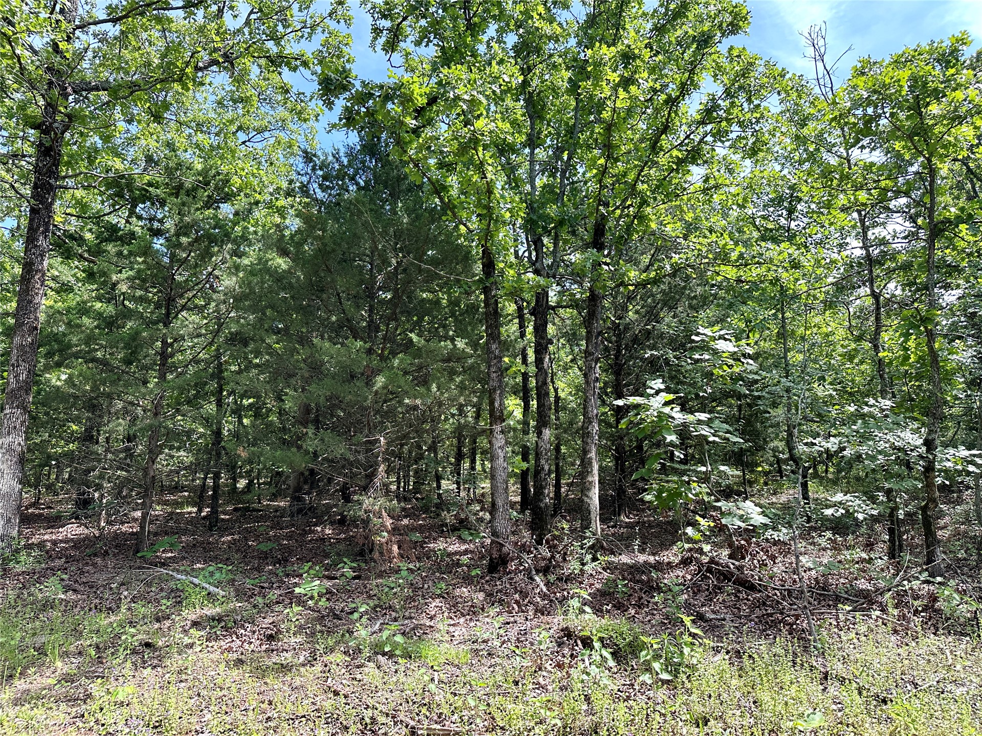 623 Dozer Mountain Road Property Photo 50