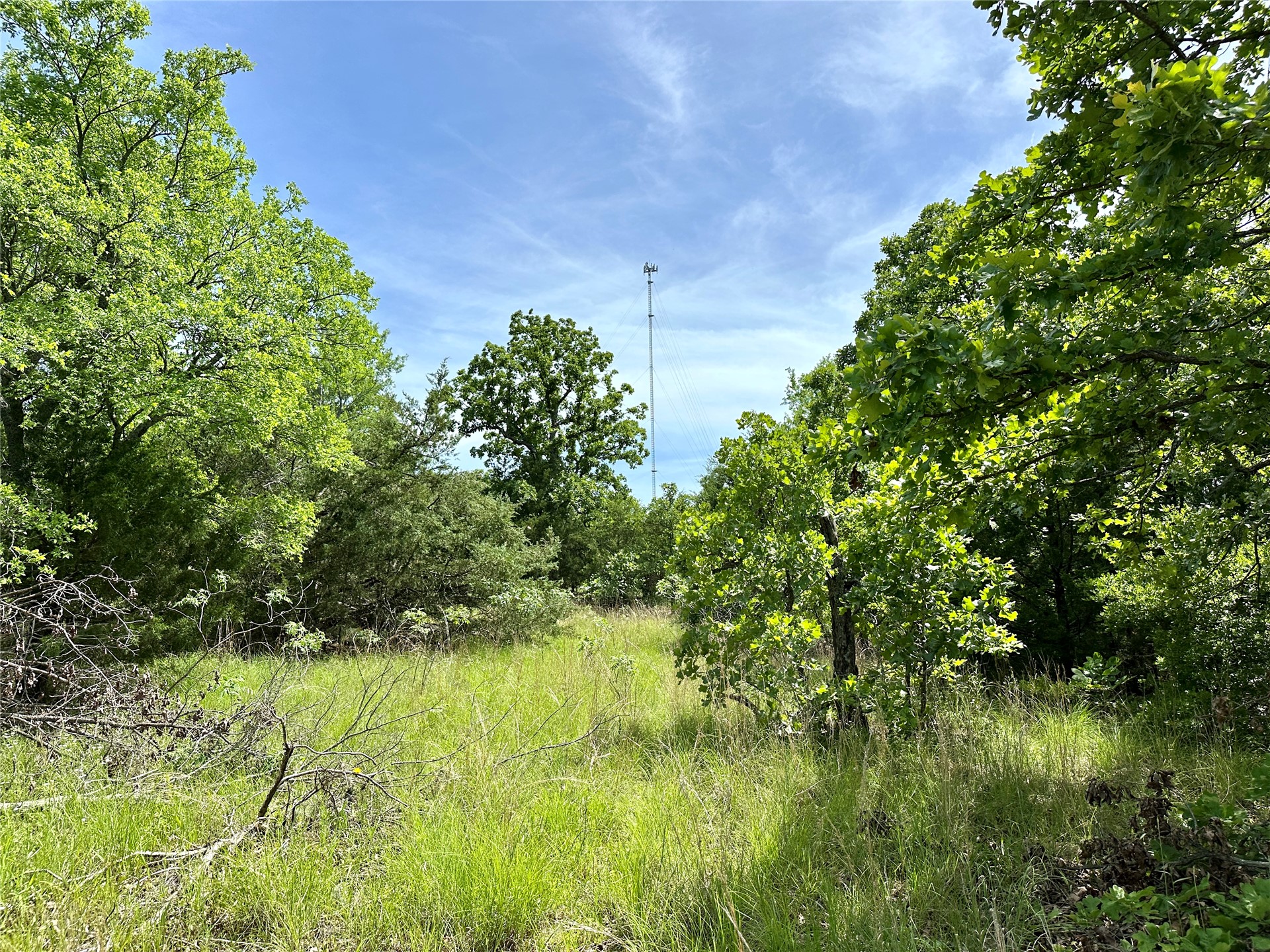 623 Dozer Mountain Road Property Photo 54