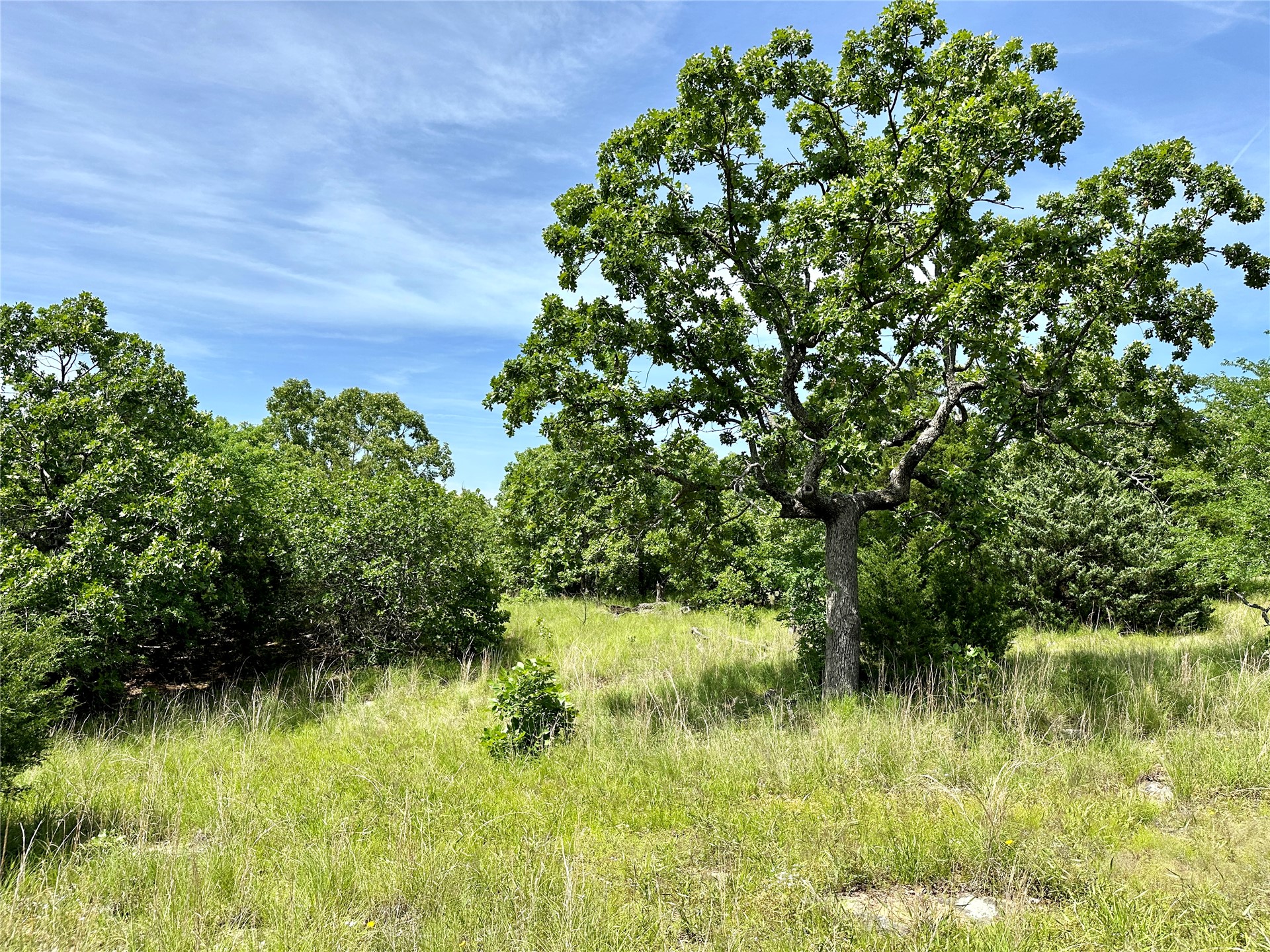 623 Dozer Mountain Road Property Photo 55