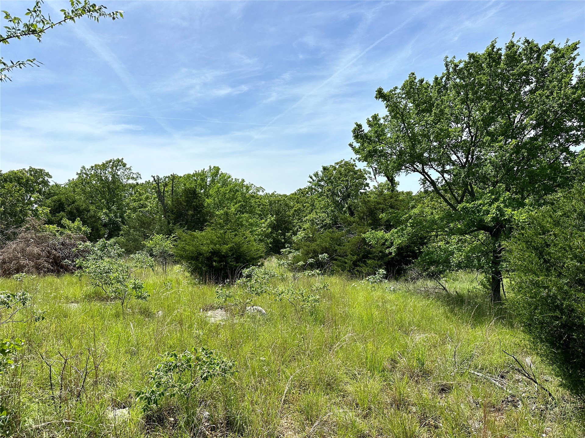 623 Dozer Mountain Road Property Photo 56