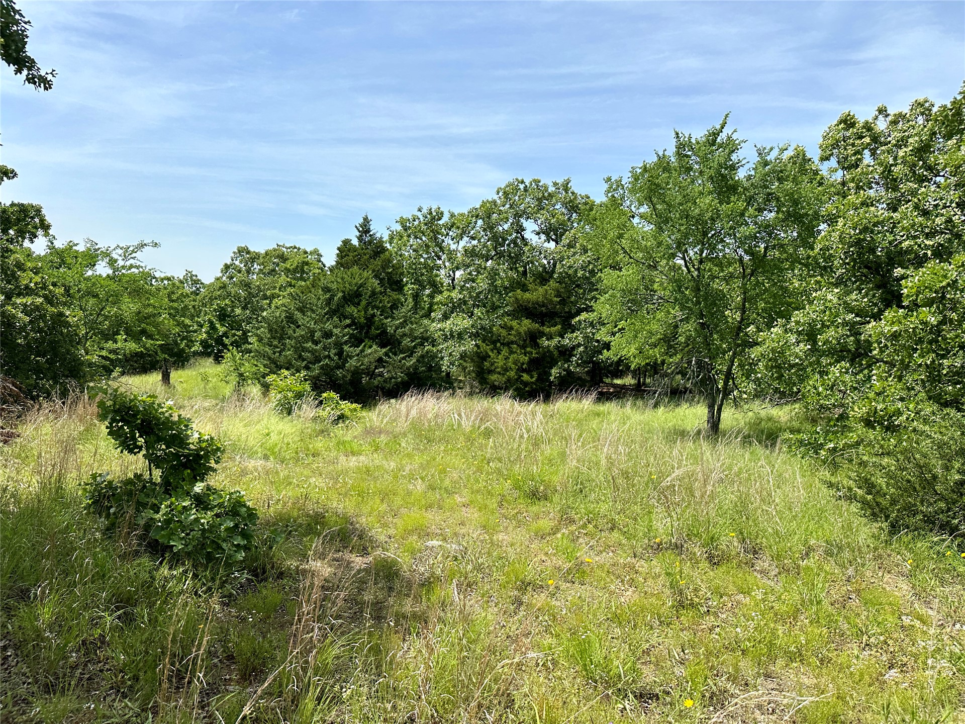 623 Dozer Mountain Road Property Photo 57