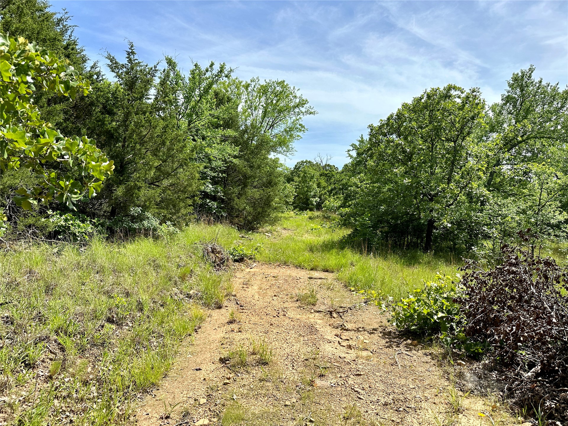 623 Dozer Mountain Road Property Photo 58