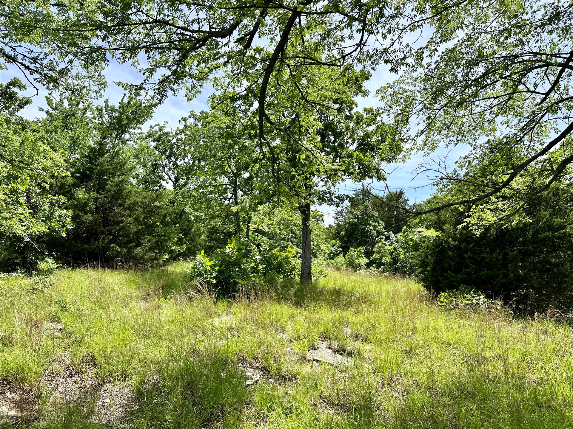 623 Dozer Mountain Road Property Photo 59