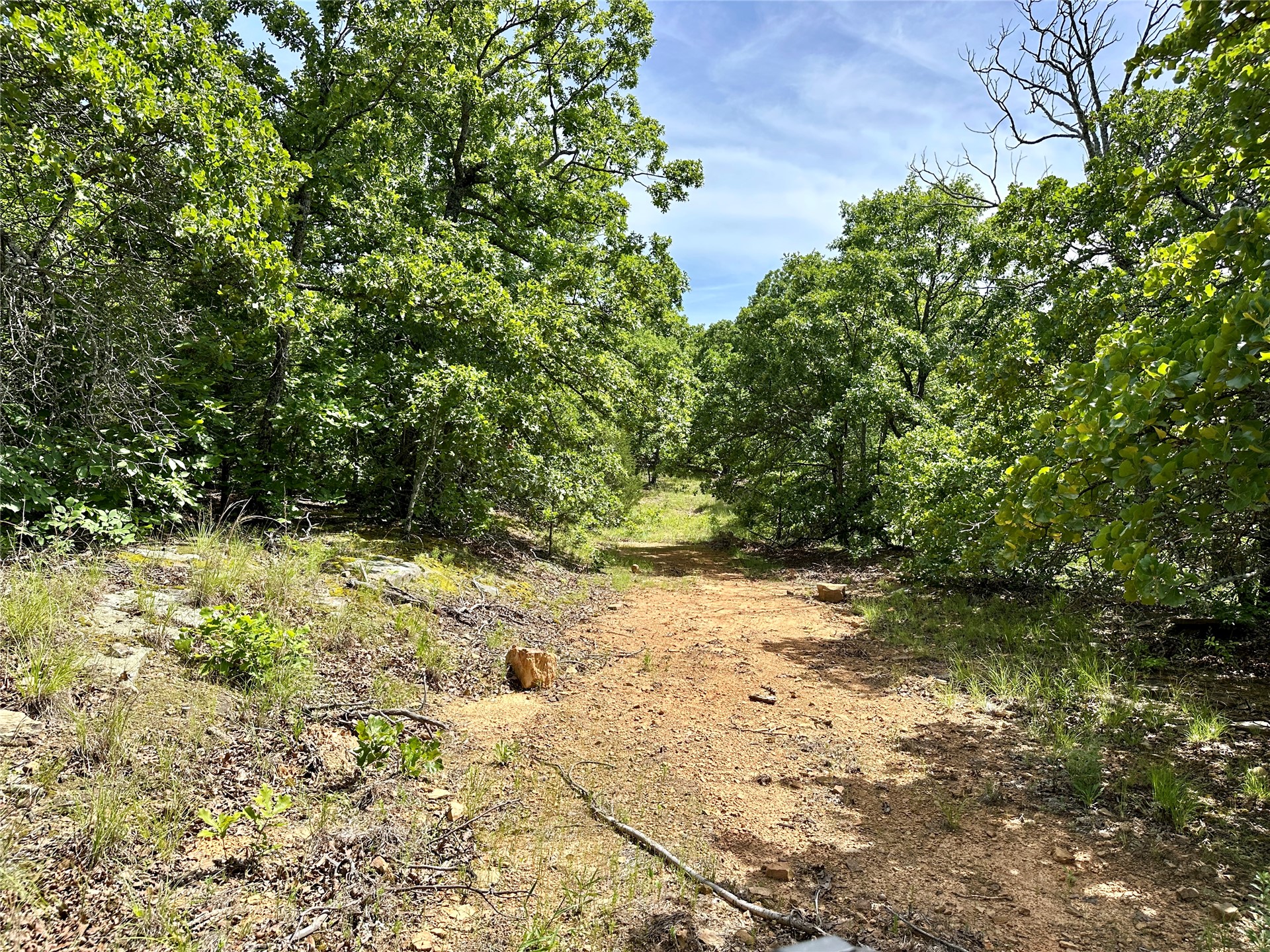 623 Dozer Mountain Road Property Photo 60