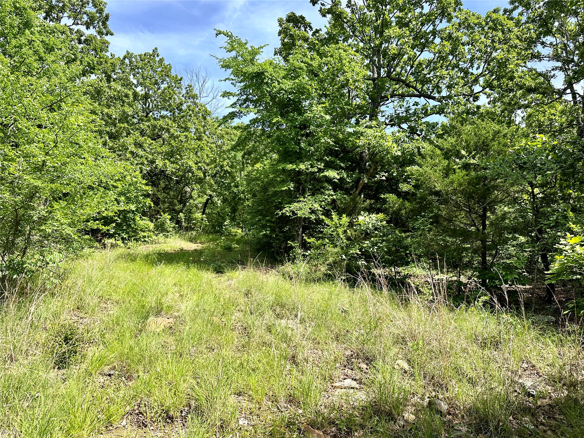 623 Dozer Mountain Road Property Photo 61