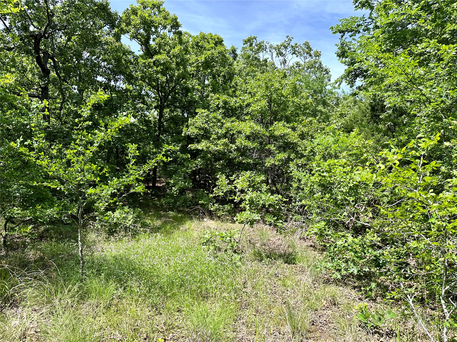 623 Dozer Mountain Road Property Photo 62