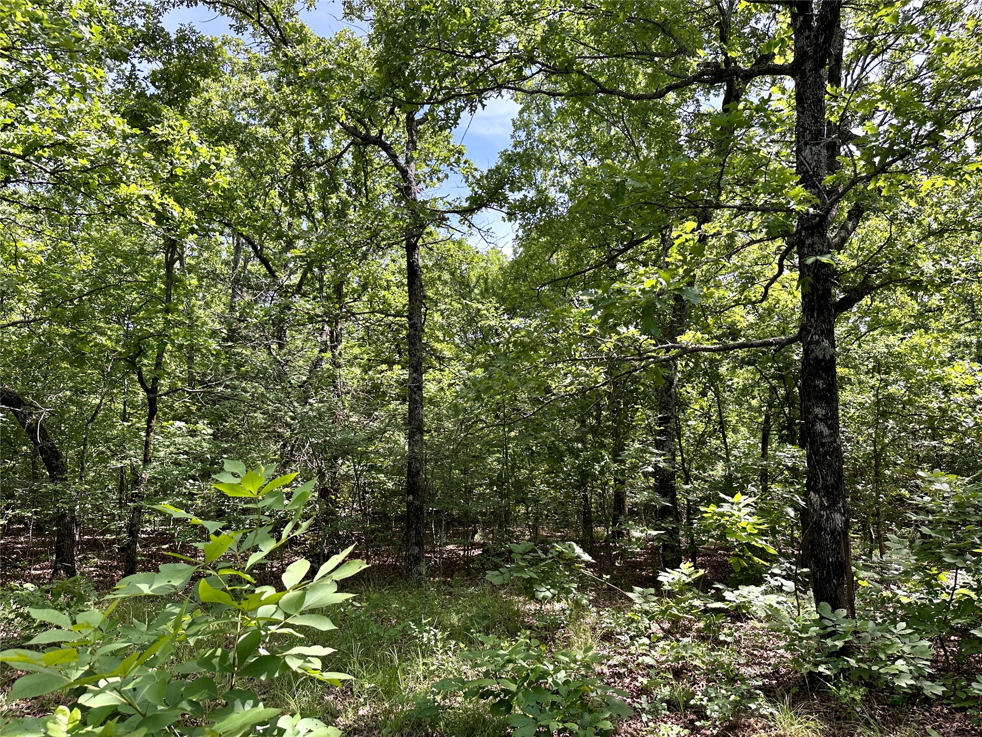623 Dozer Mountain Road Property Photo 63