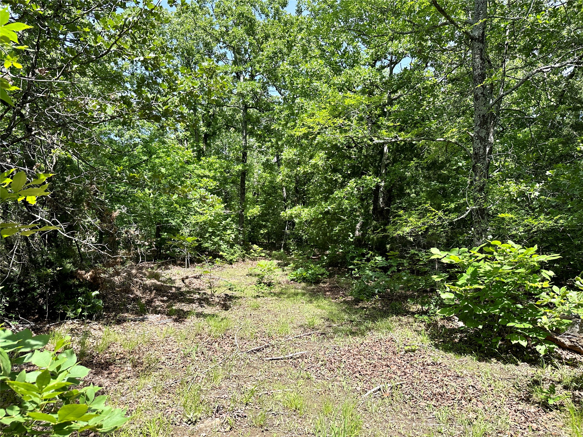 623 Dozer Mountain Road Property Photo 64