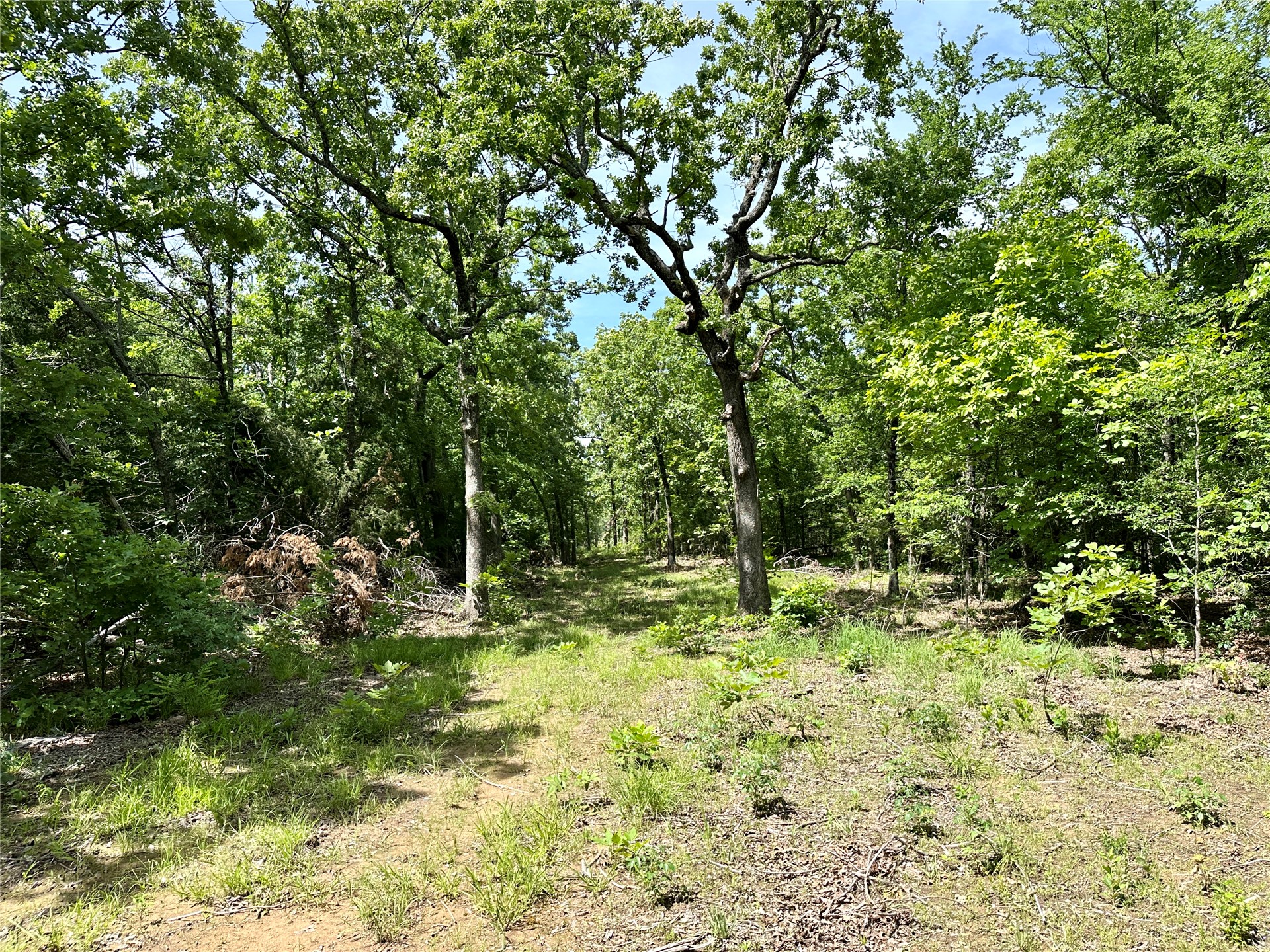 623 Dozer Mountain Road Property Photo 65