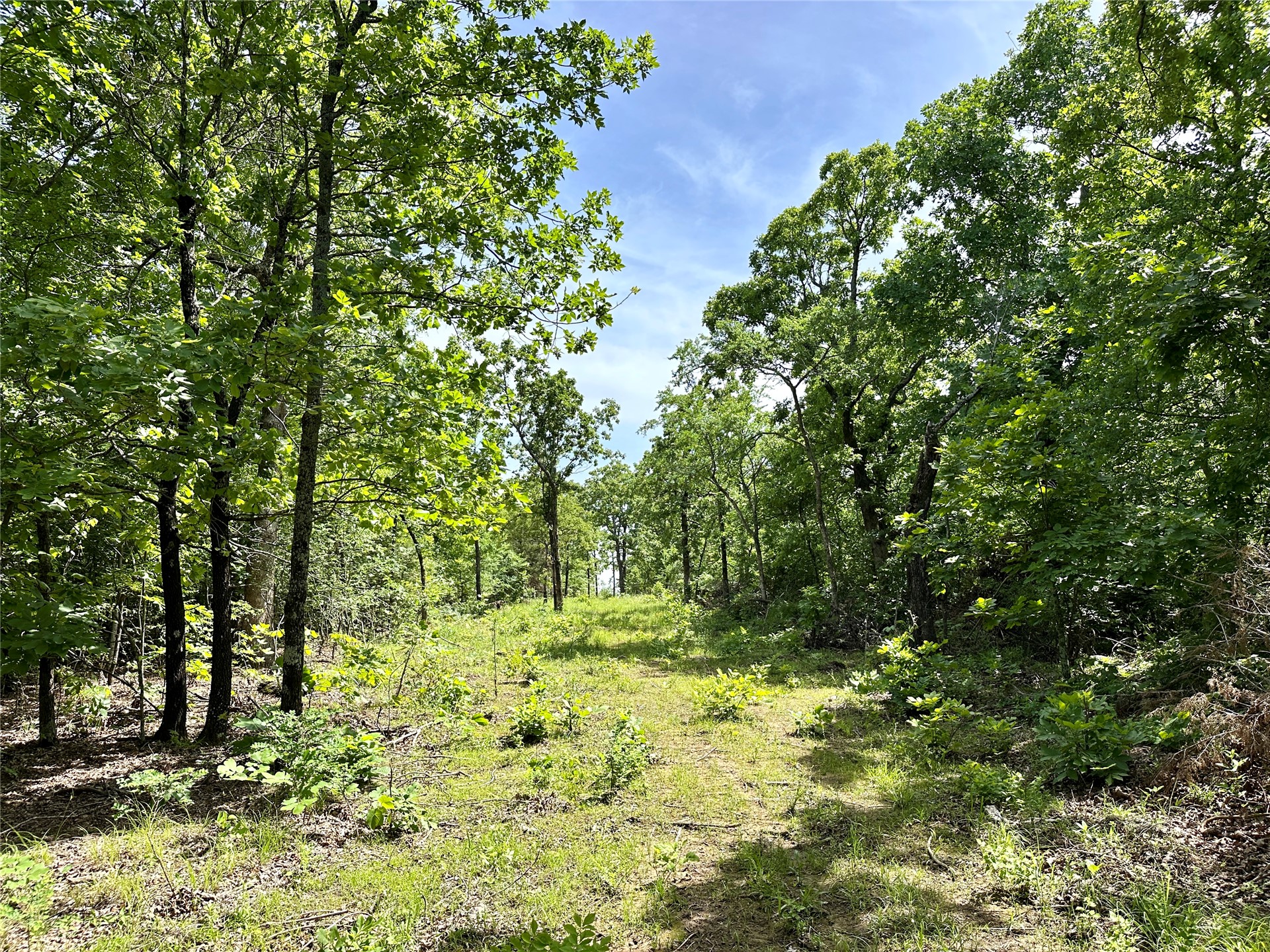 623 Dozer Mountain Road Property Photo 66