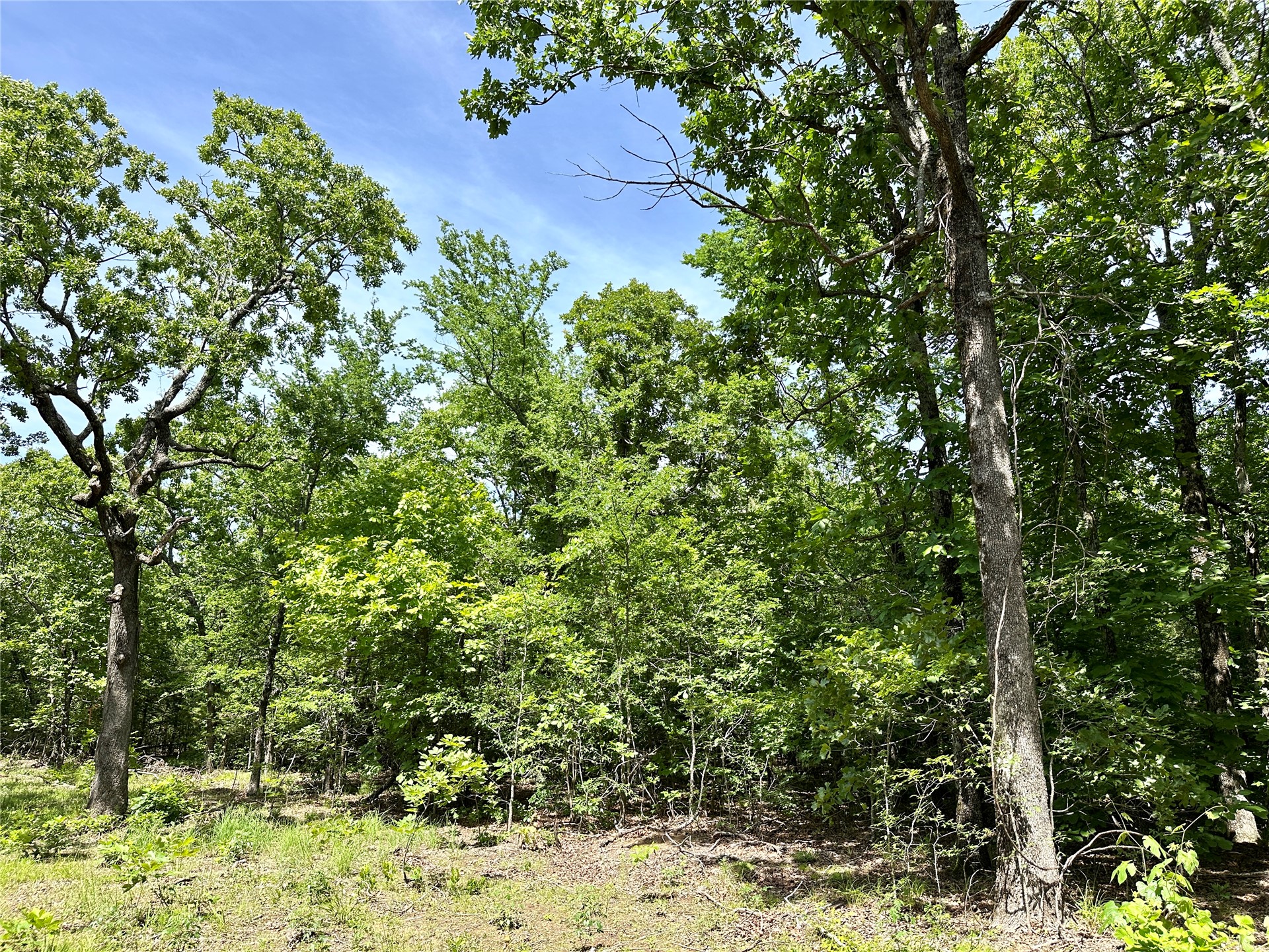 623 Dozer Mountain Road Property Photo 67