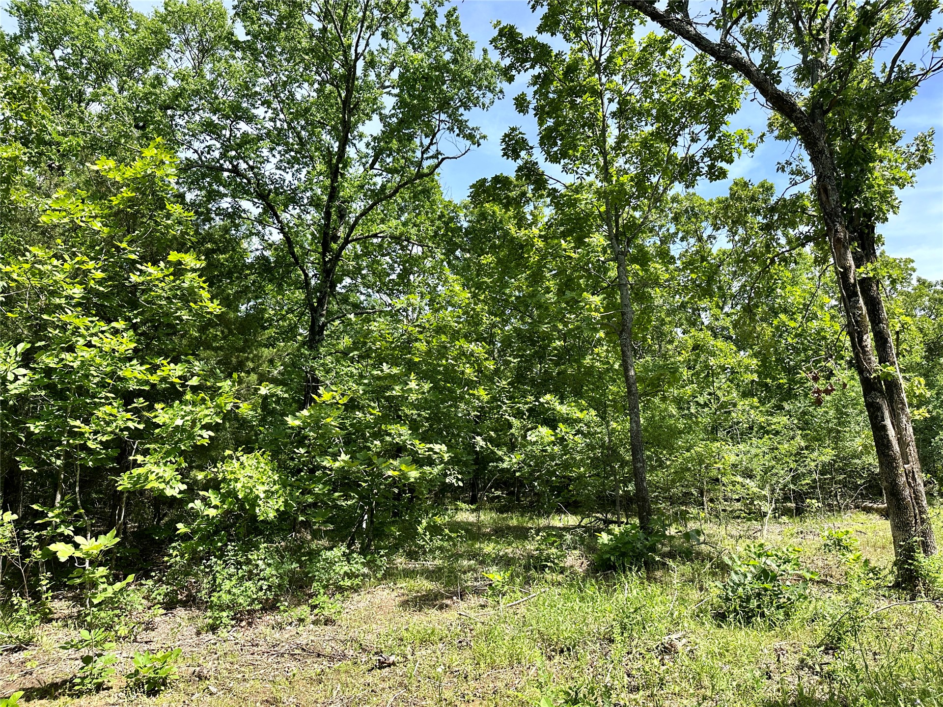623 Dozer Mountain Road Property Photo 68