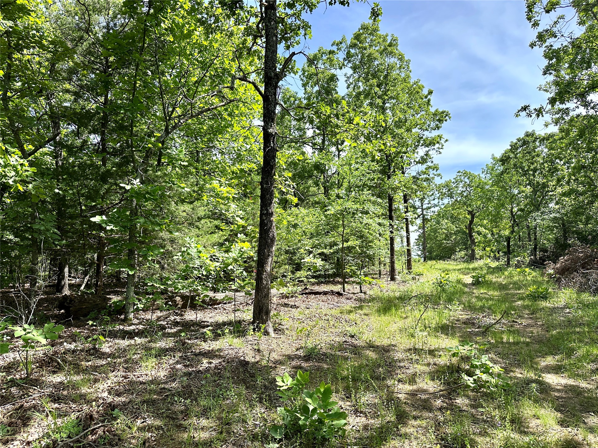 623 Dozer Mountain Road Property Photo 69
