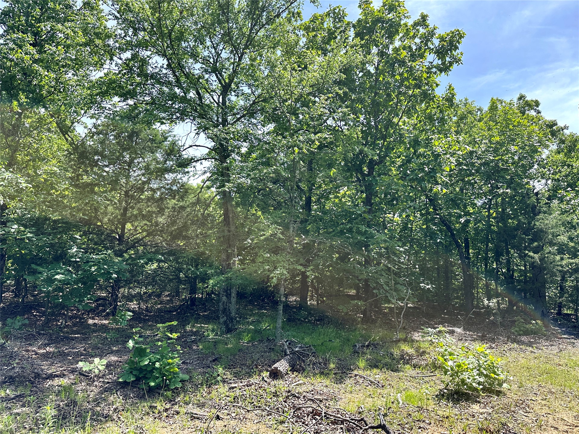 623 Dozer Mountain Road Property Photo 70