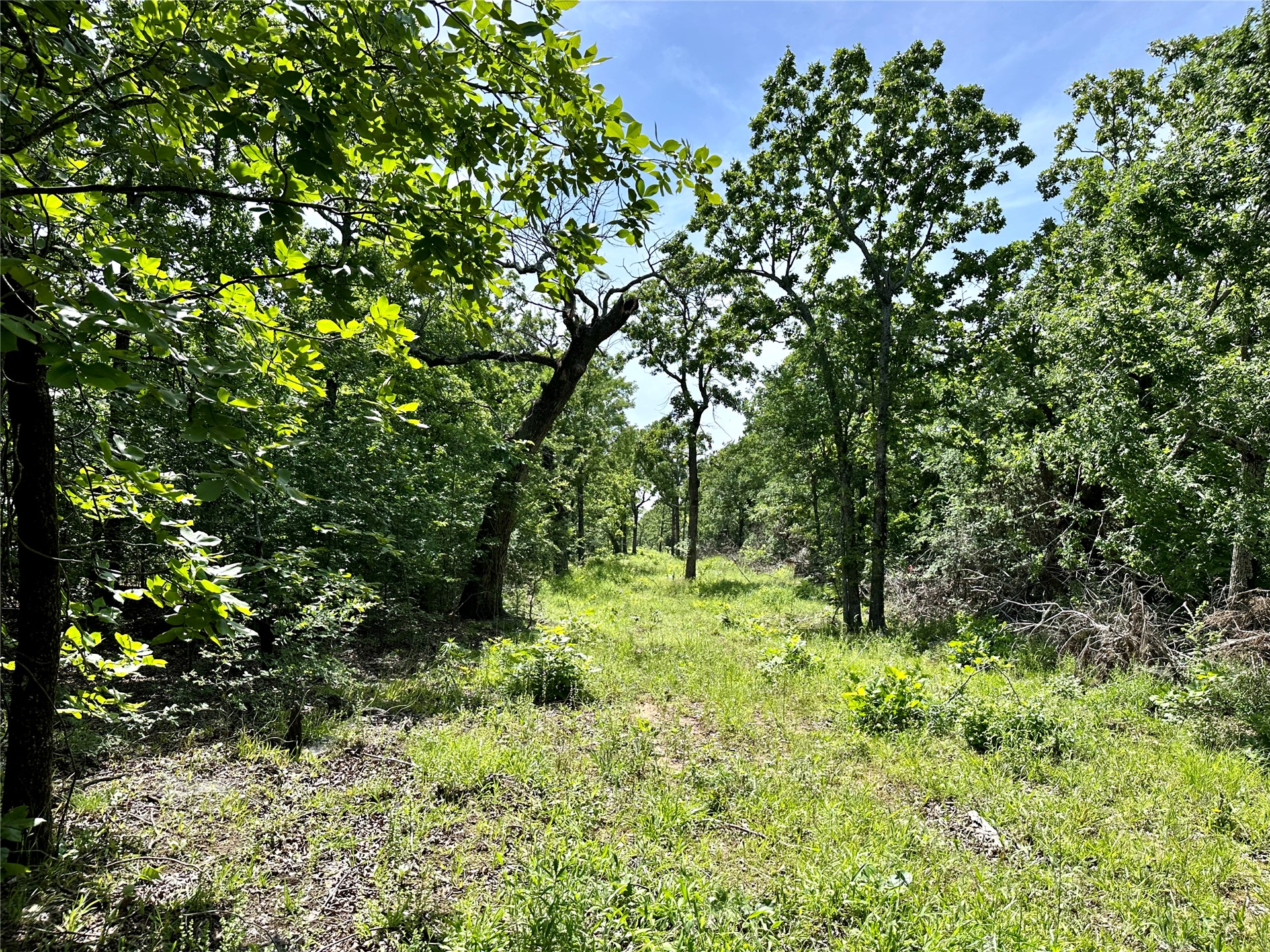 623 Dozer Mountain Road Property Photo 71