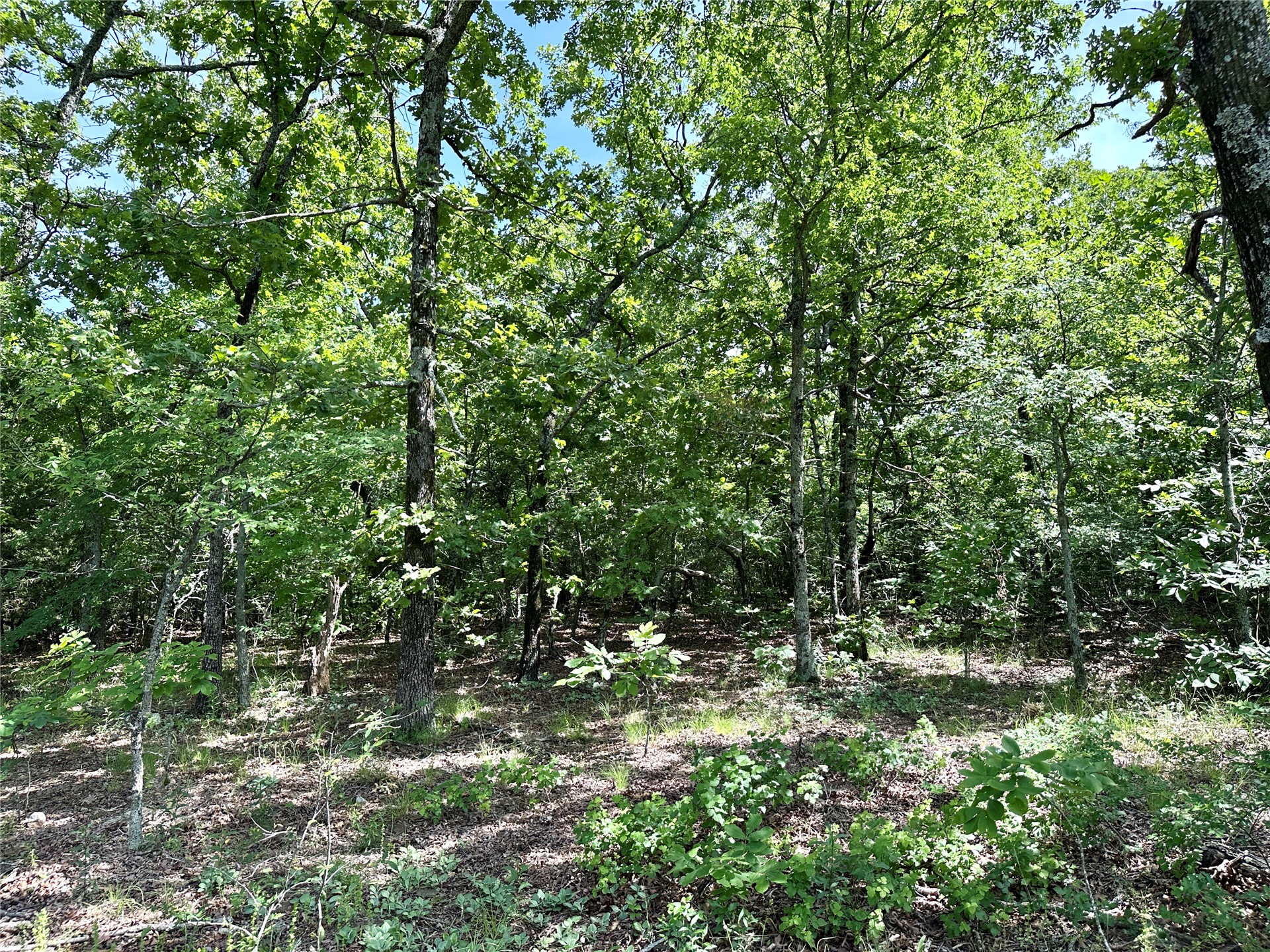 623 Dozer Mountain Road Property Photo 72