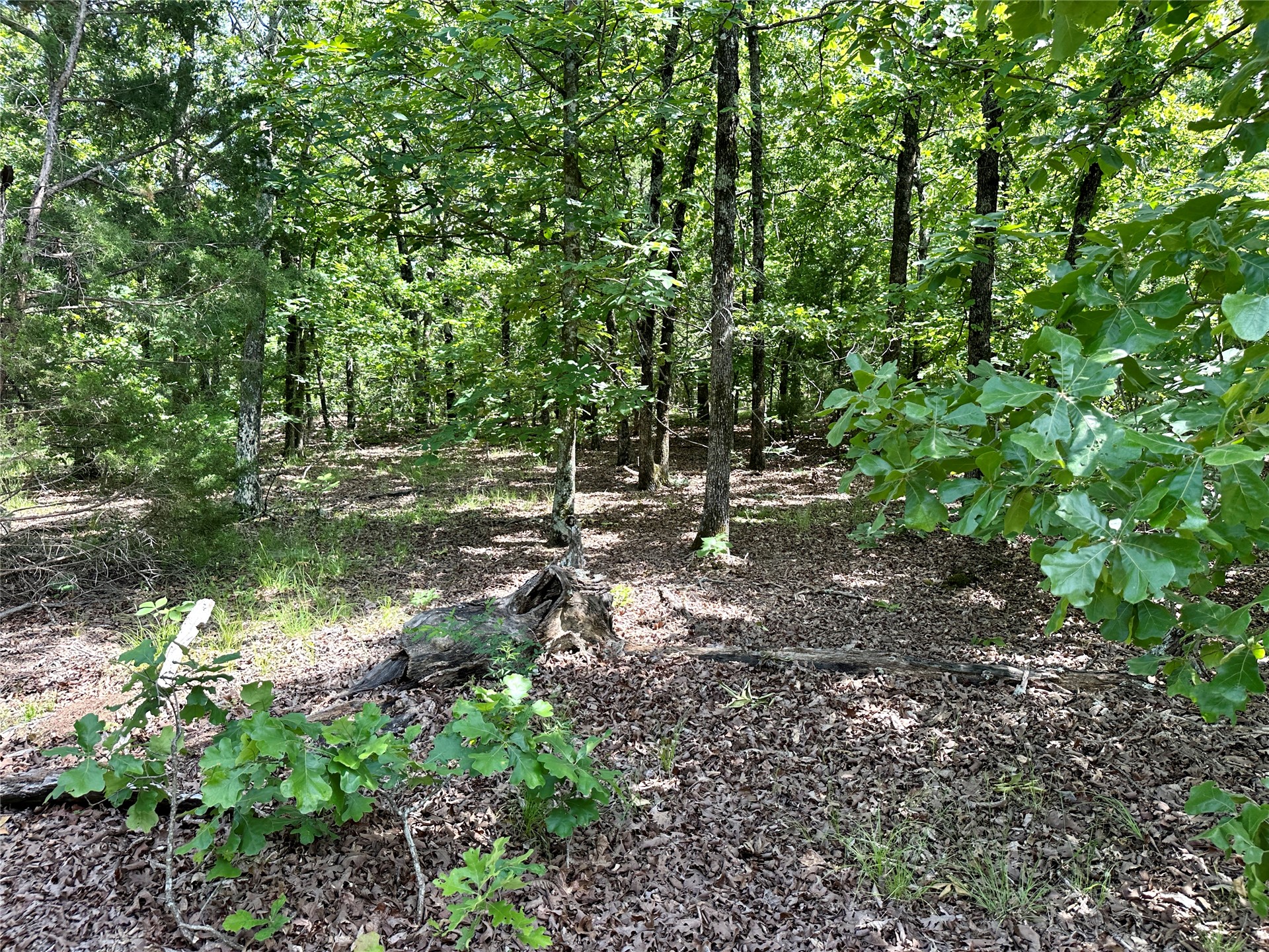 623 Dozer Mountain Road Property Photo 73