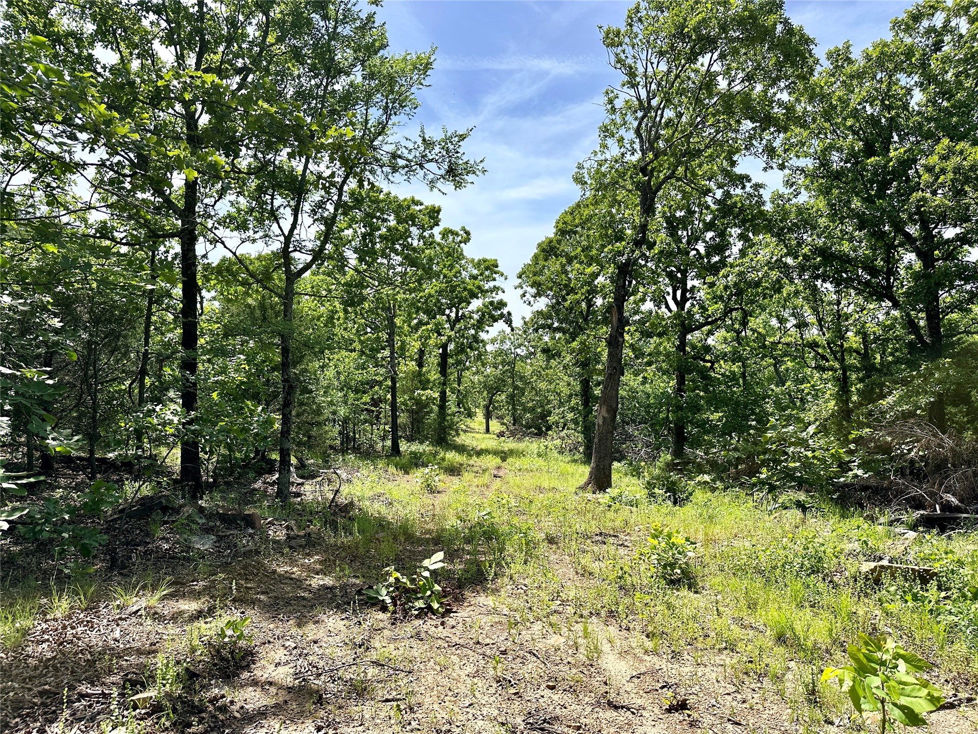 623 Dozer Mountain Road Property Photo 74