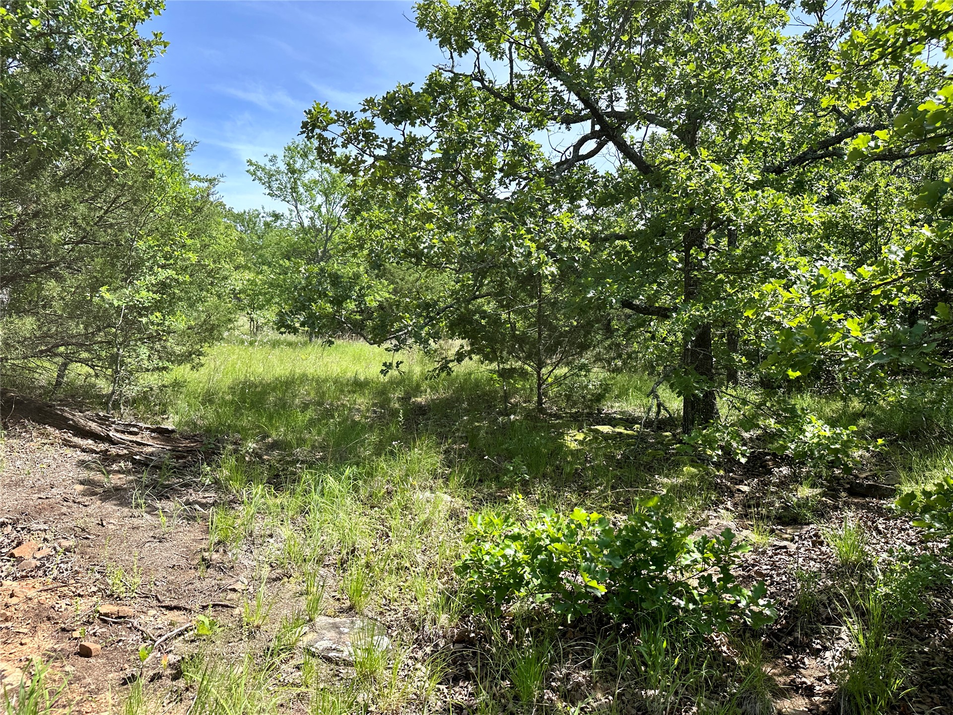 623 Dozer Mountain Road Property Photo 75