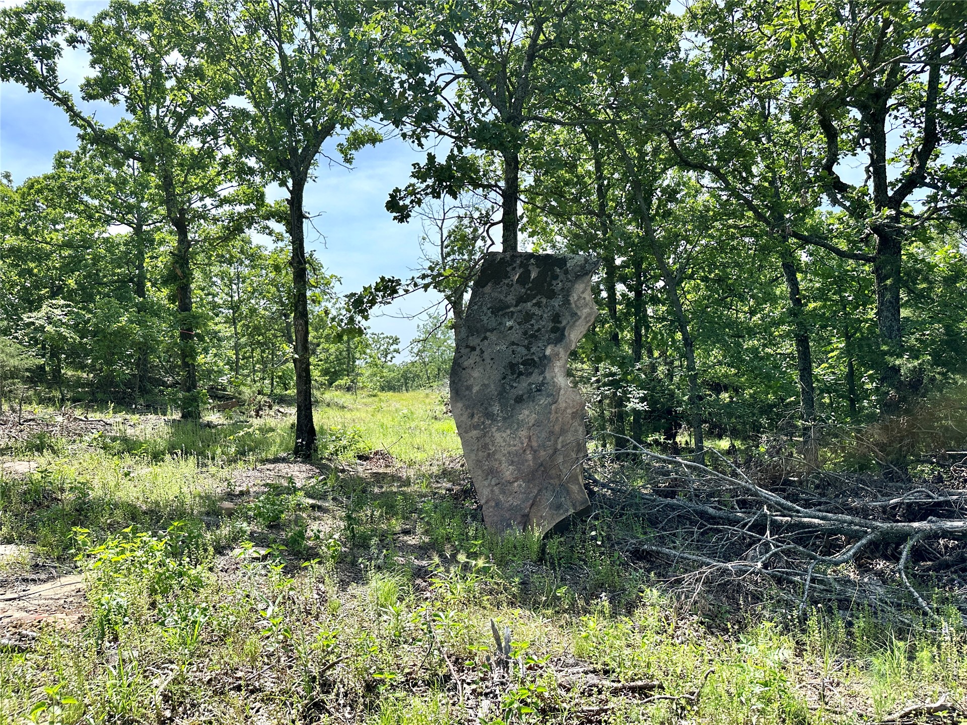 623 Dozer Mountain Road Property Photo 76