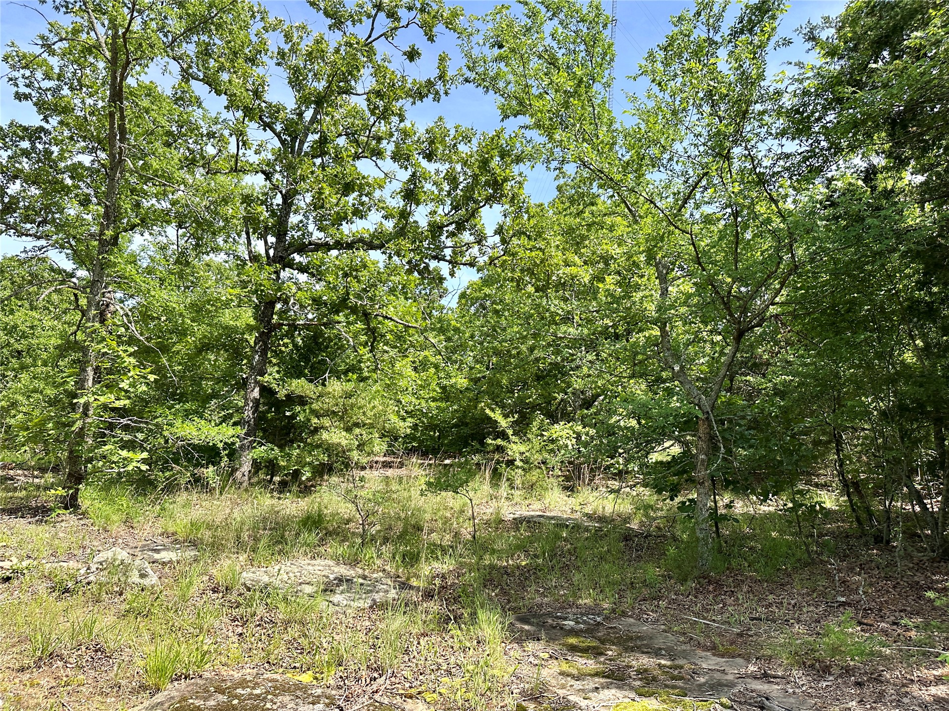 623 Dozer Mountain Road Property Photo 77