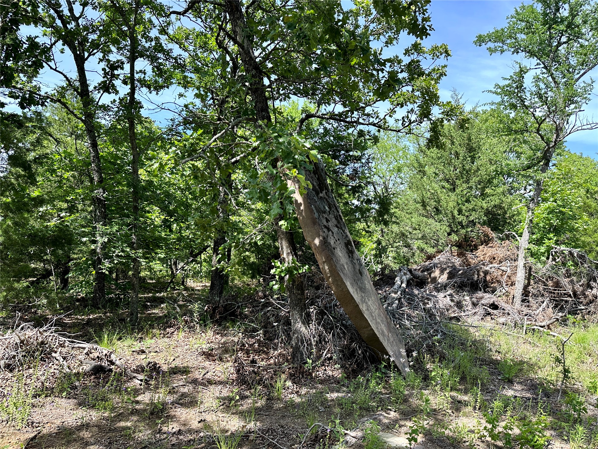 623 Dozer Mountain Road Property Photo 78