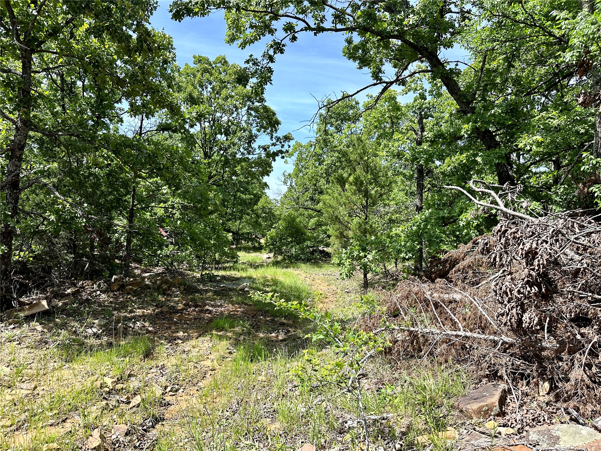 623 Dozer Mountain Road Property Photo 80