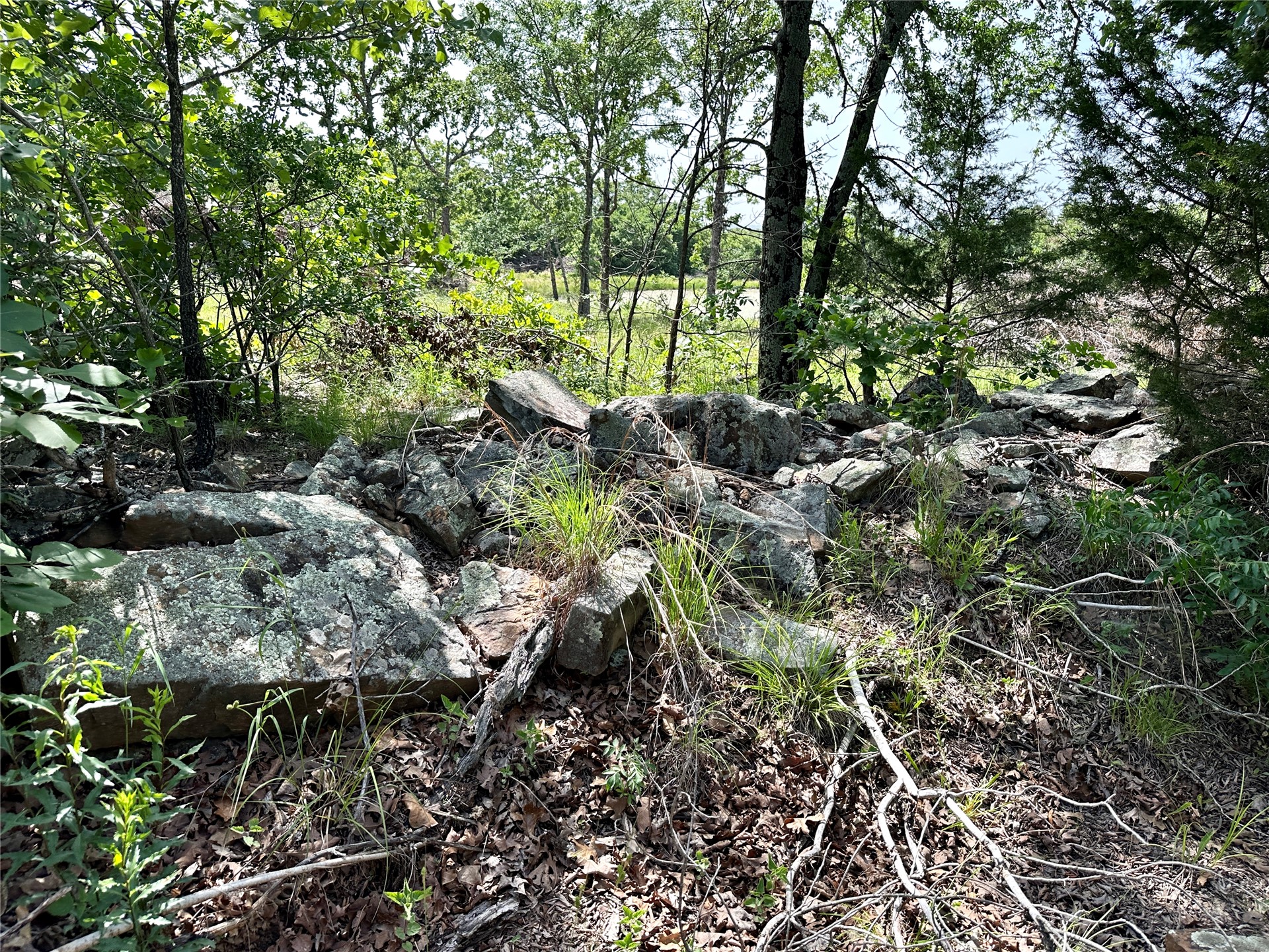 623 Dozer Mountain Road Property Photo 81