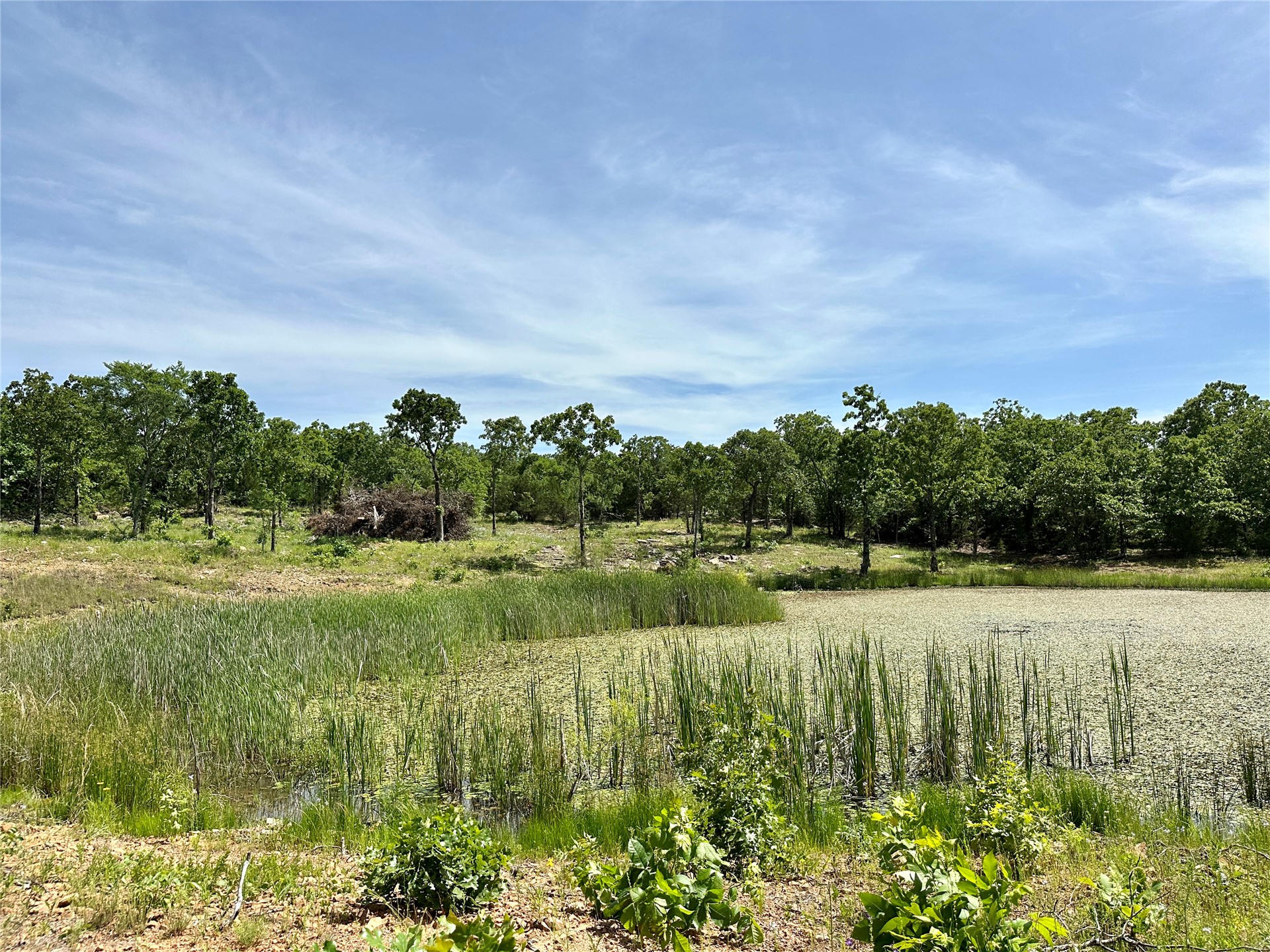 623 Dozer Mountain Road Property Photo 83