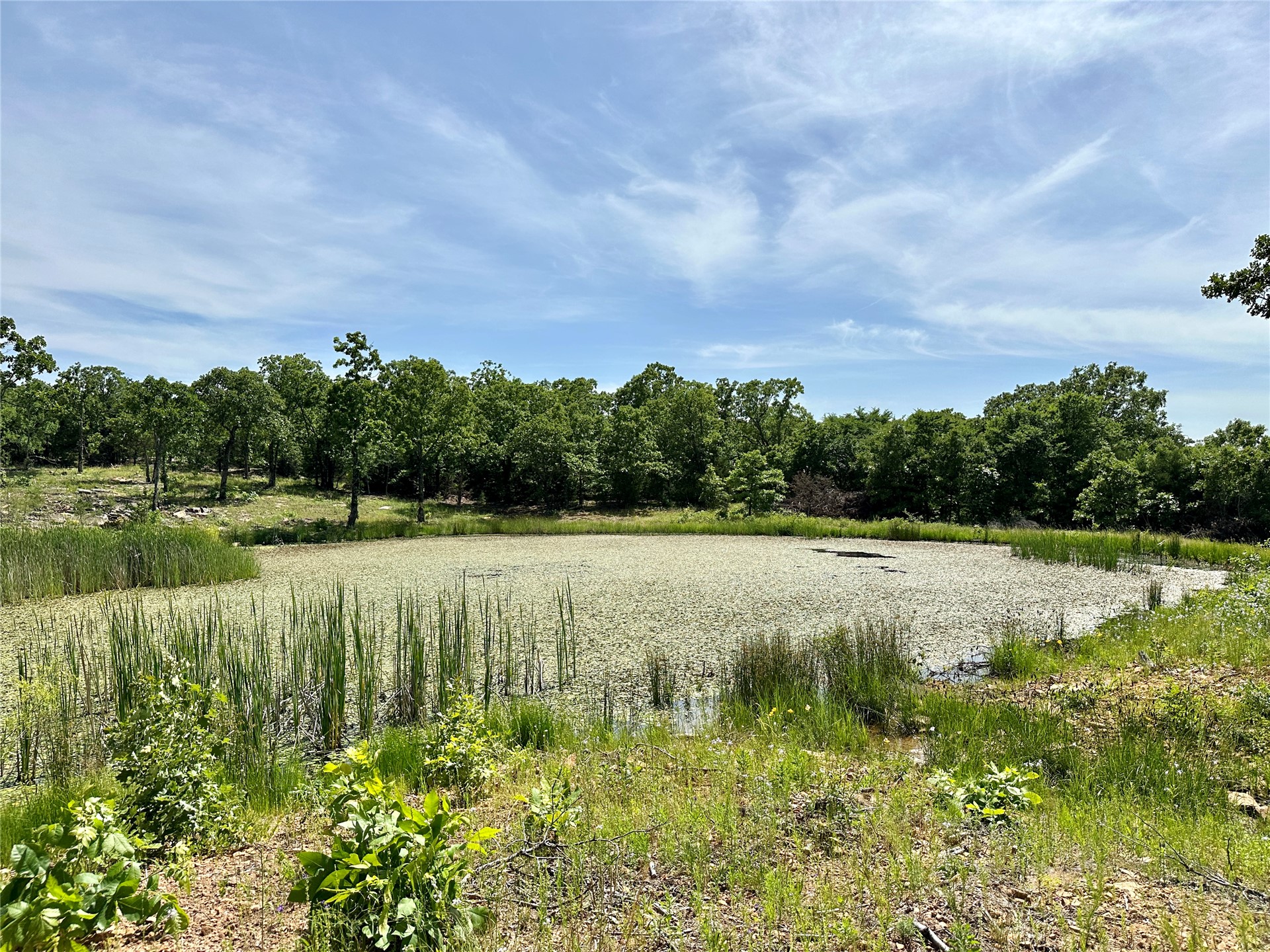 623 Dozer Mountain Road Property Photo 84