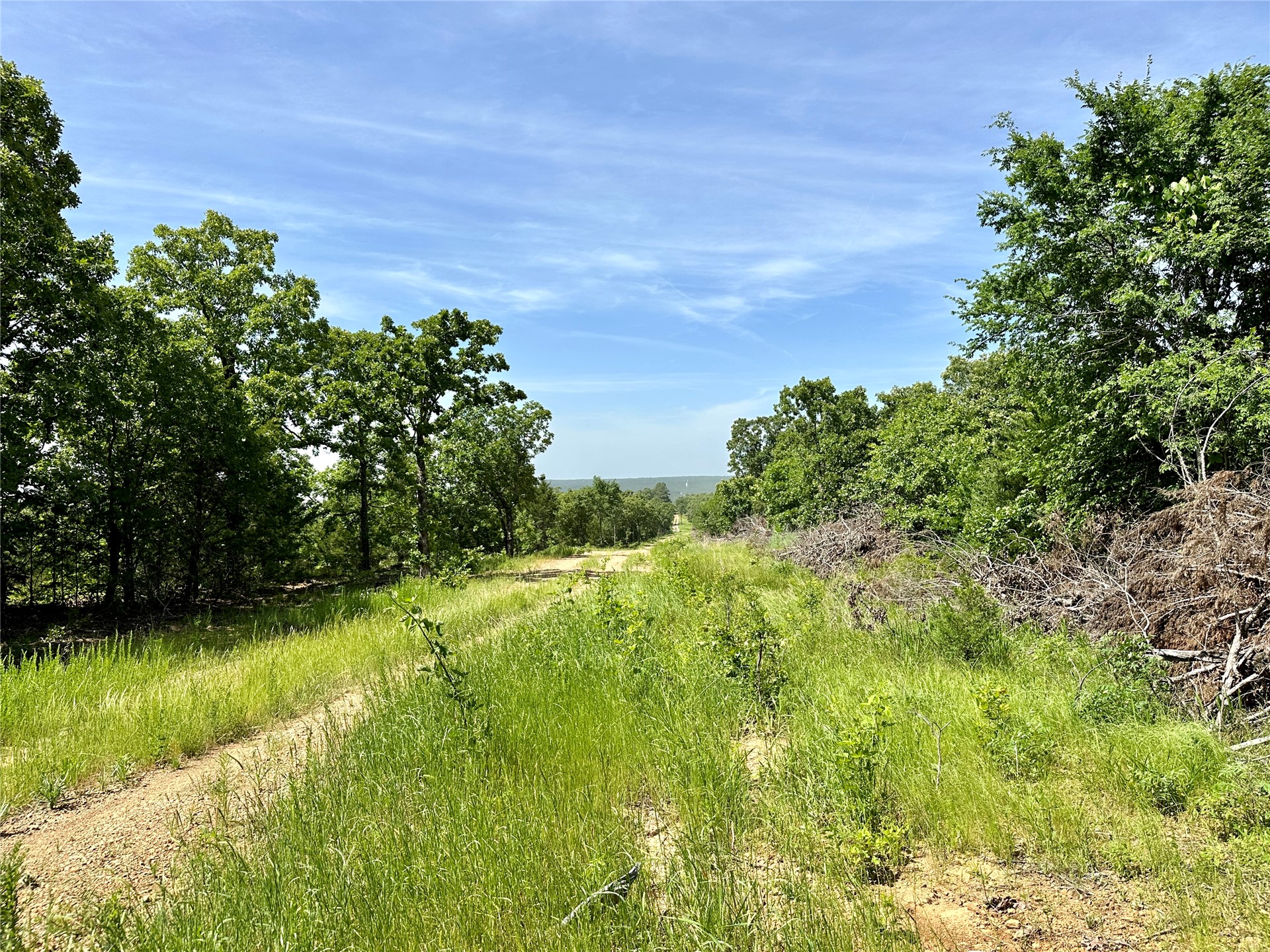 623 Dozer Mountain Road Property Photo 86