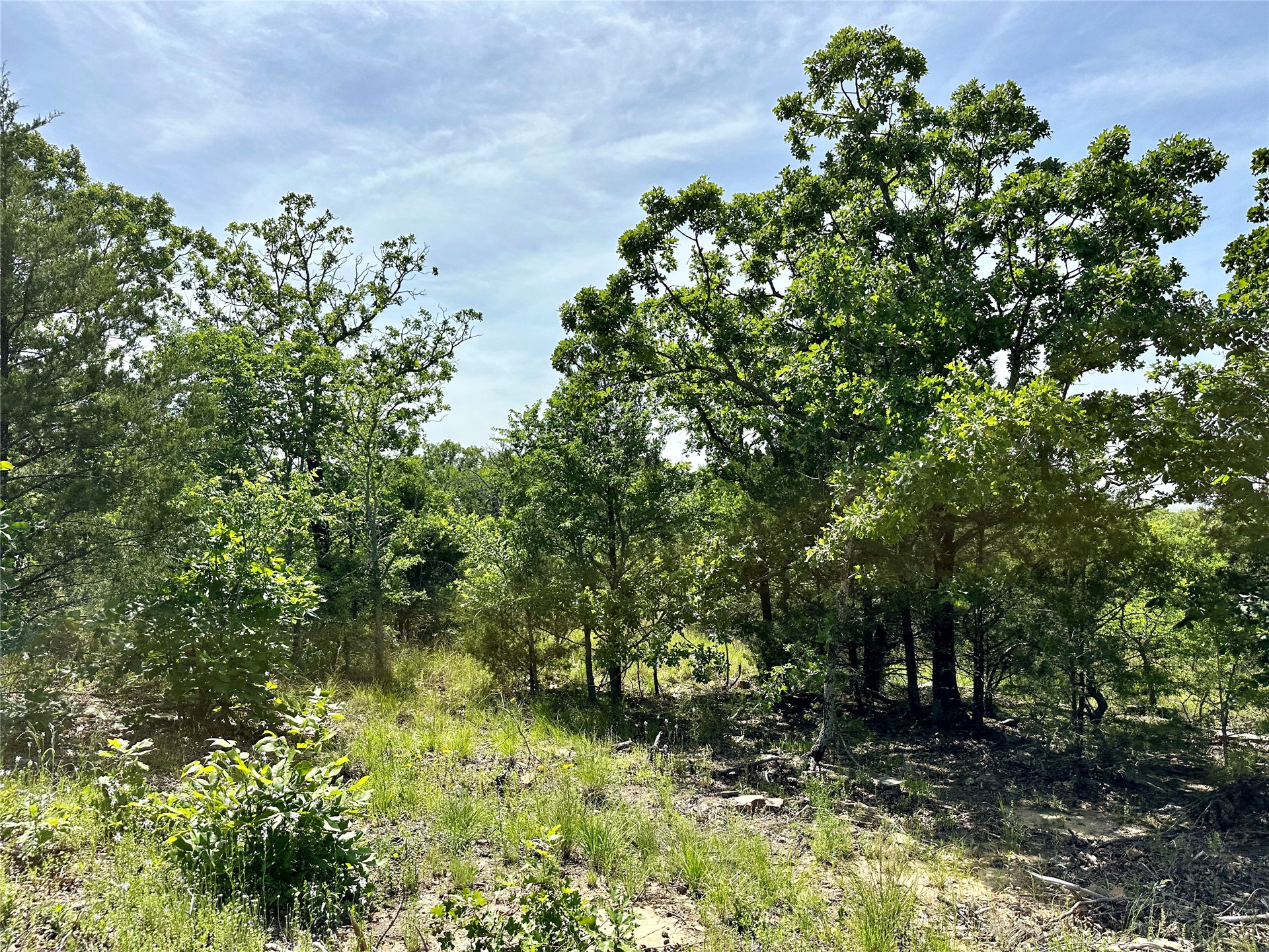 623 Dozer Mountain Road Property Photo 87