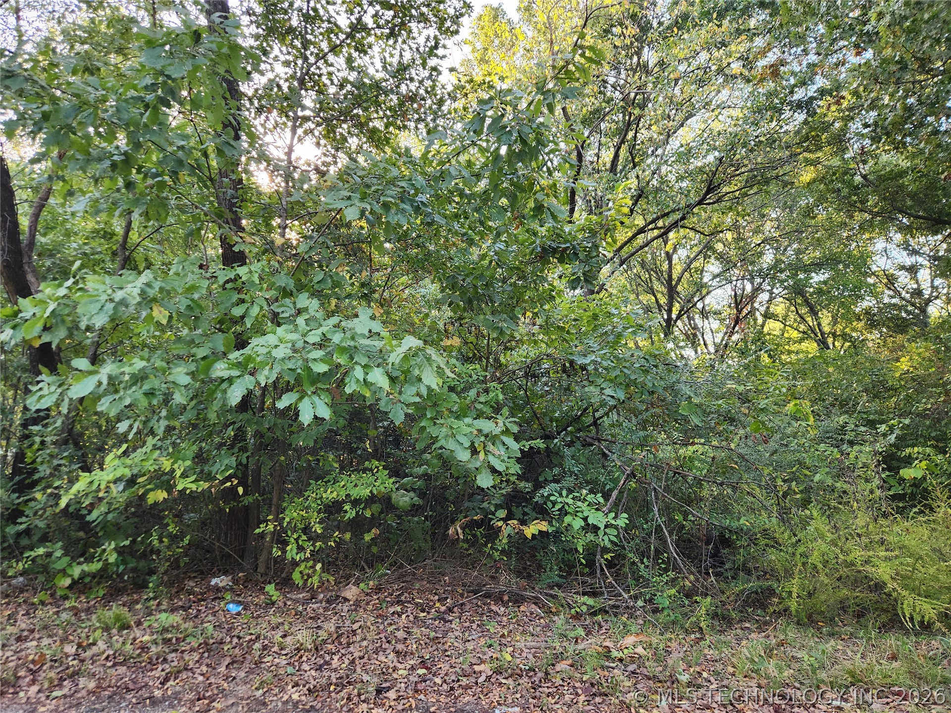 Lakeview Drive