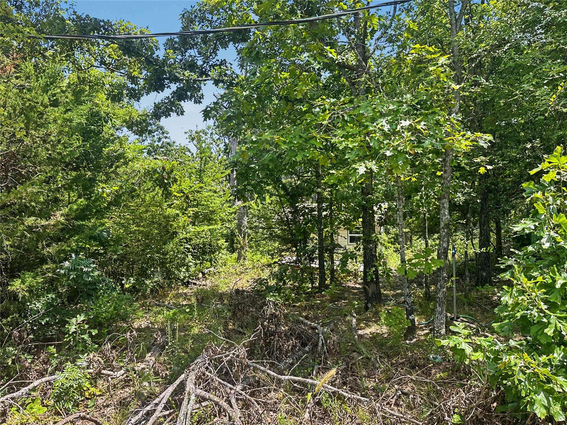 36040 S Sky View Drive Property Photo 6