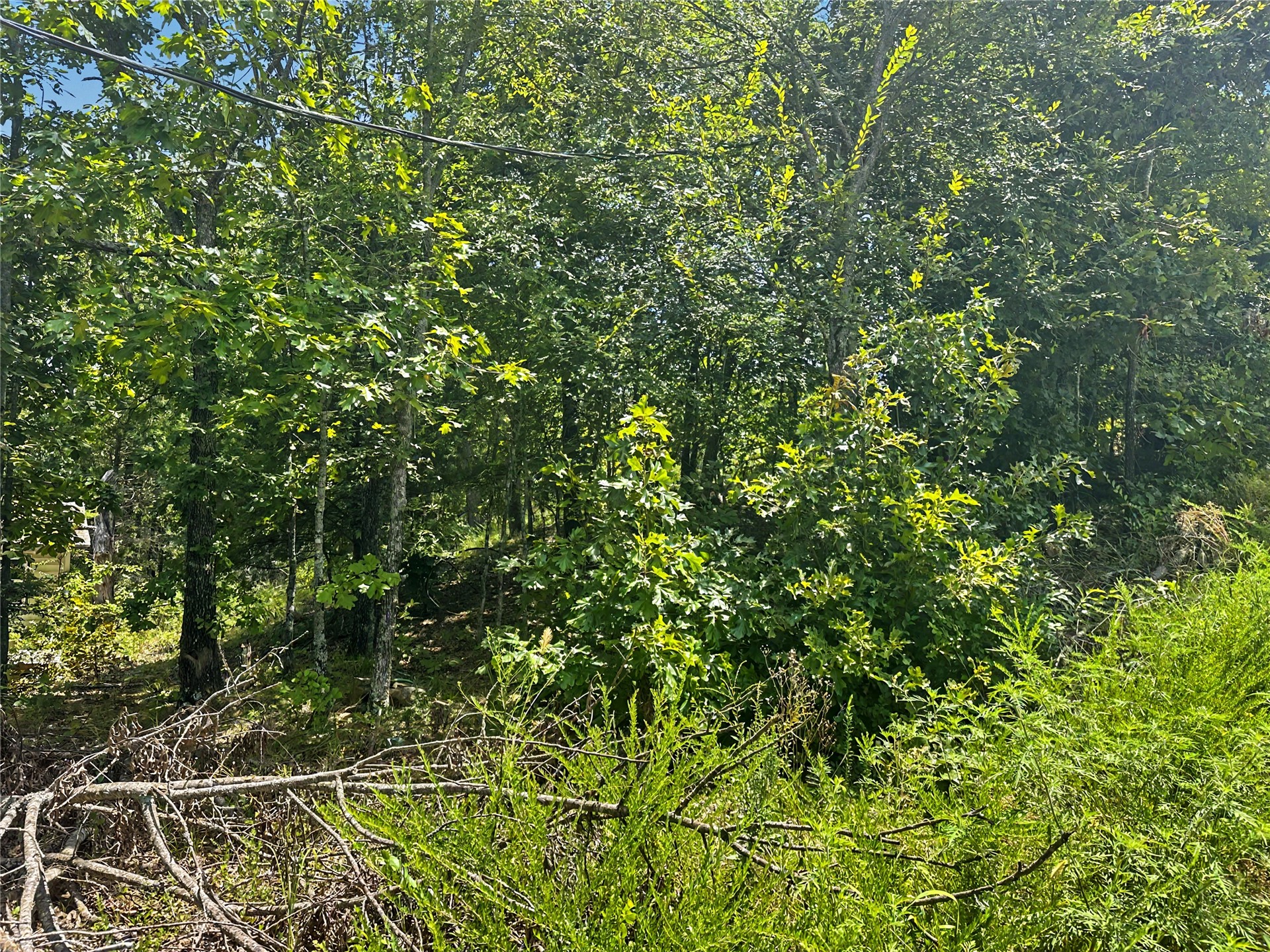36040 S Sky View Drive Property Photo 7