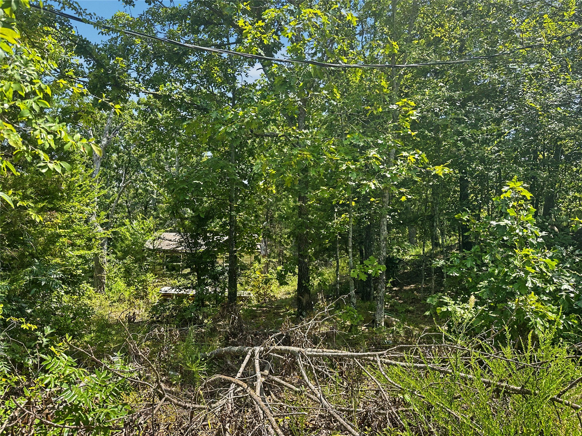 36040 S Sky View Drive Property Photo 8