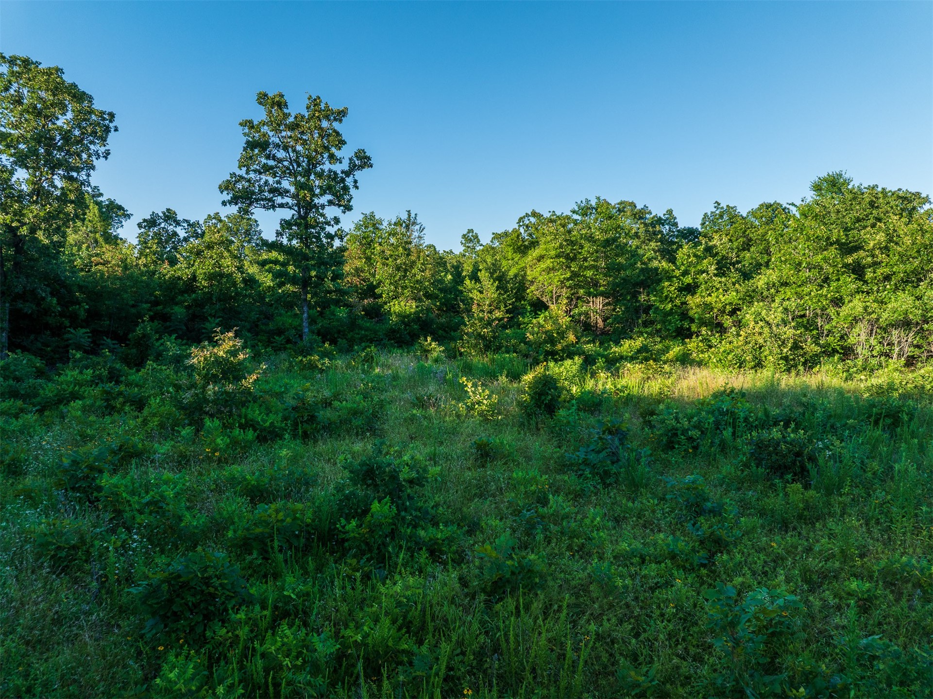 1 W 691 Road Property Photo 31