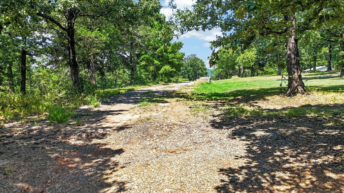 Brandon Lane Property Photo 3