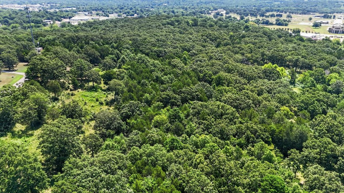 Brandon Lane Property Photo 12