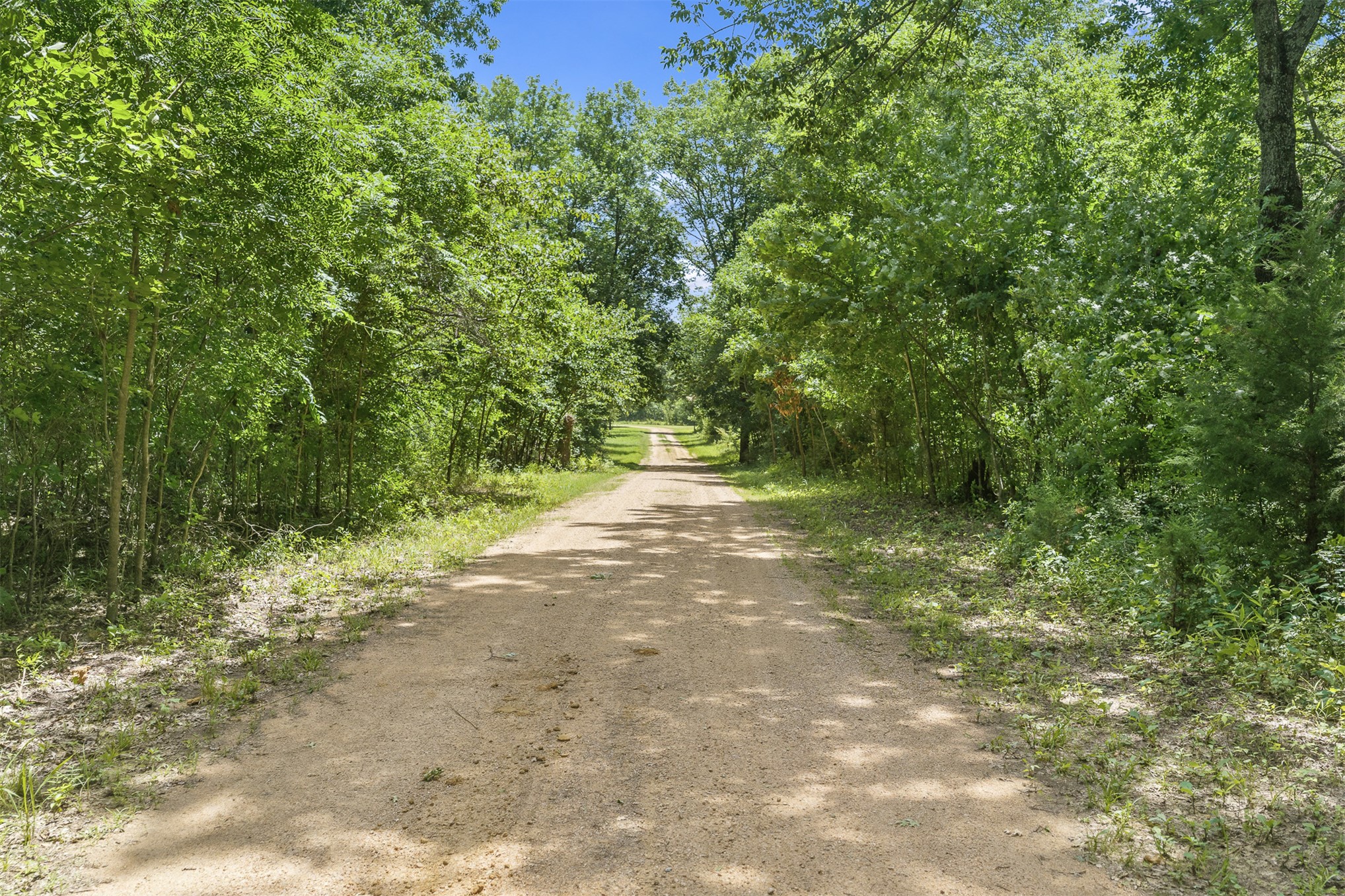 2474 S Log Cabin Property Photo 28